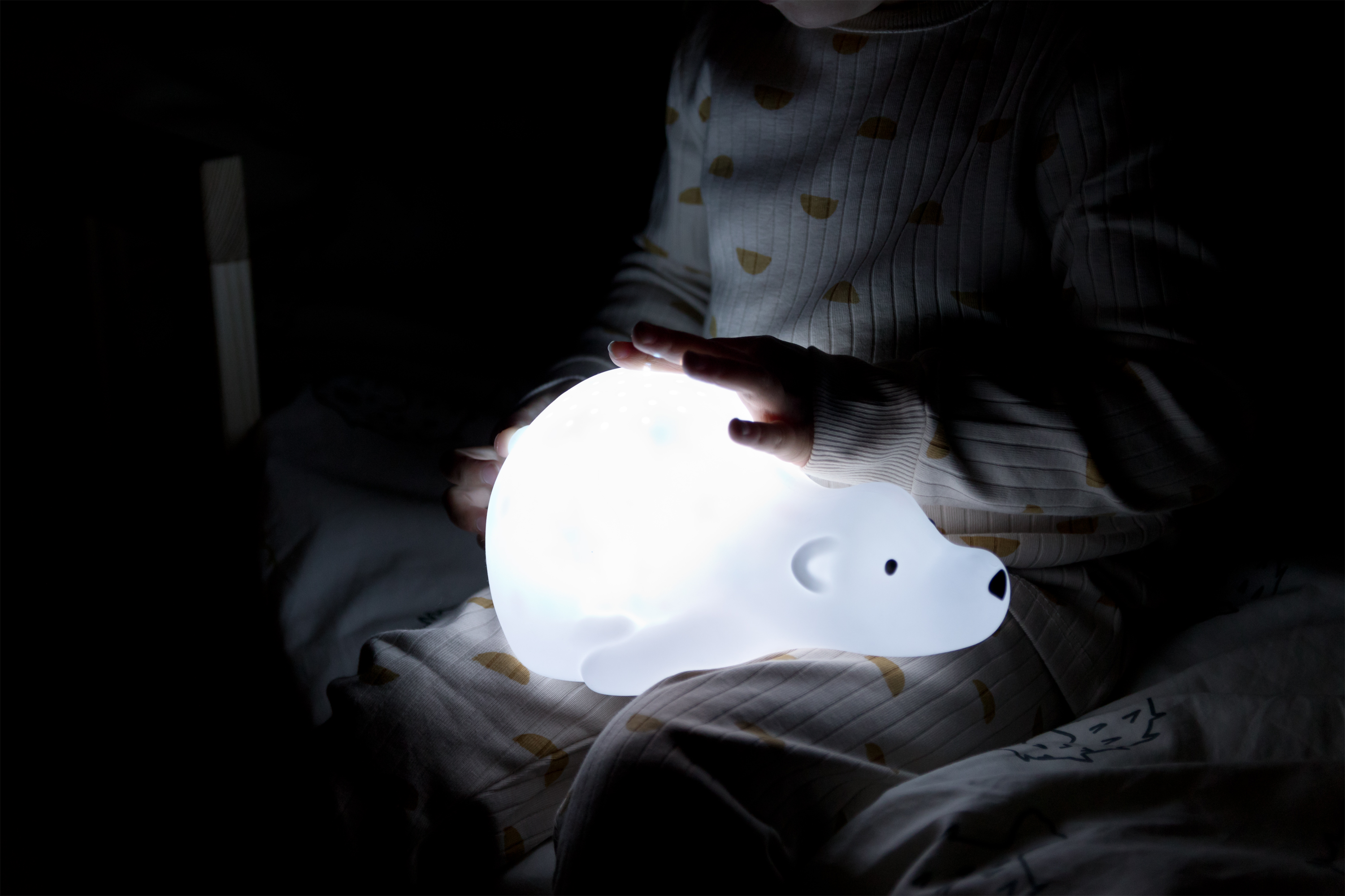 Flow Amsterdam Projektor Björn