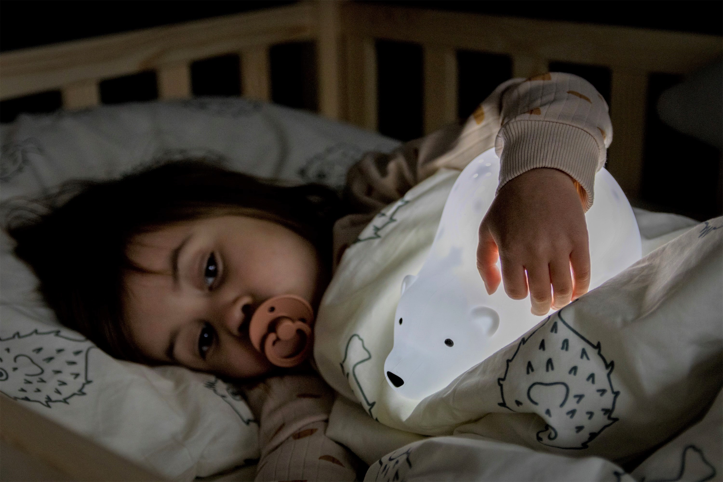 Flow Amsterdam Projektor Björn