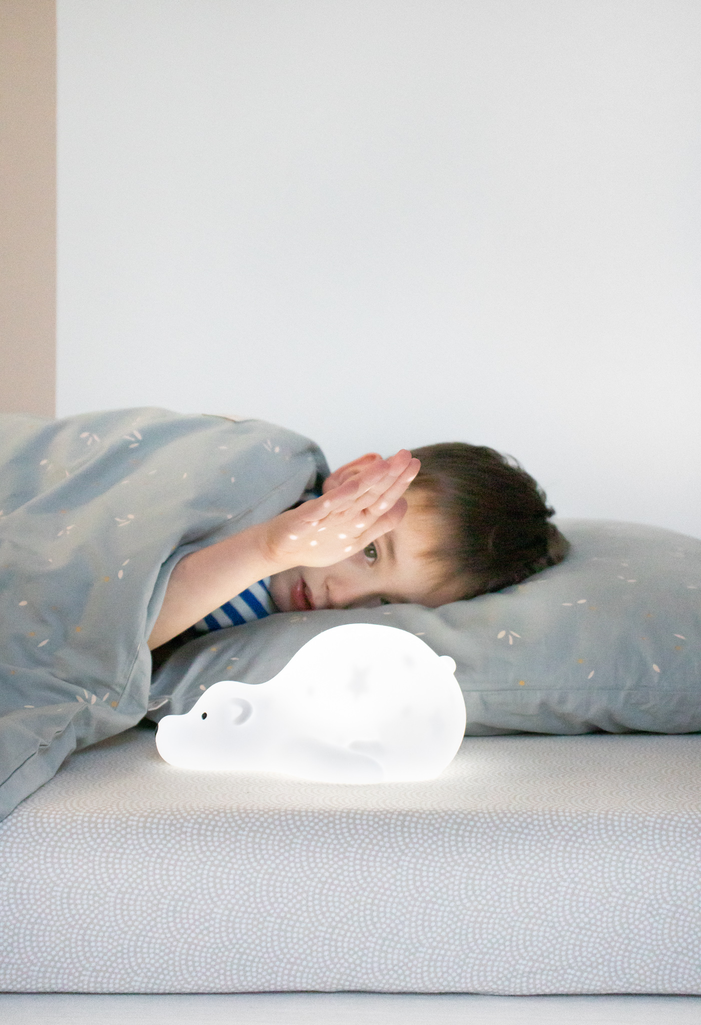 Flow Amsterdam Projektor Björn