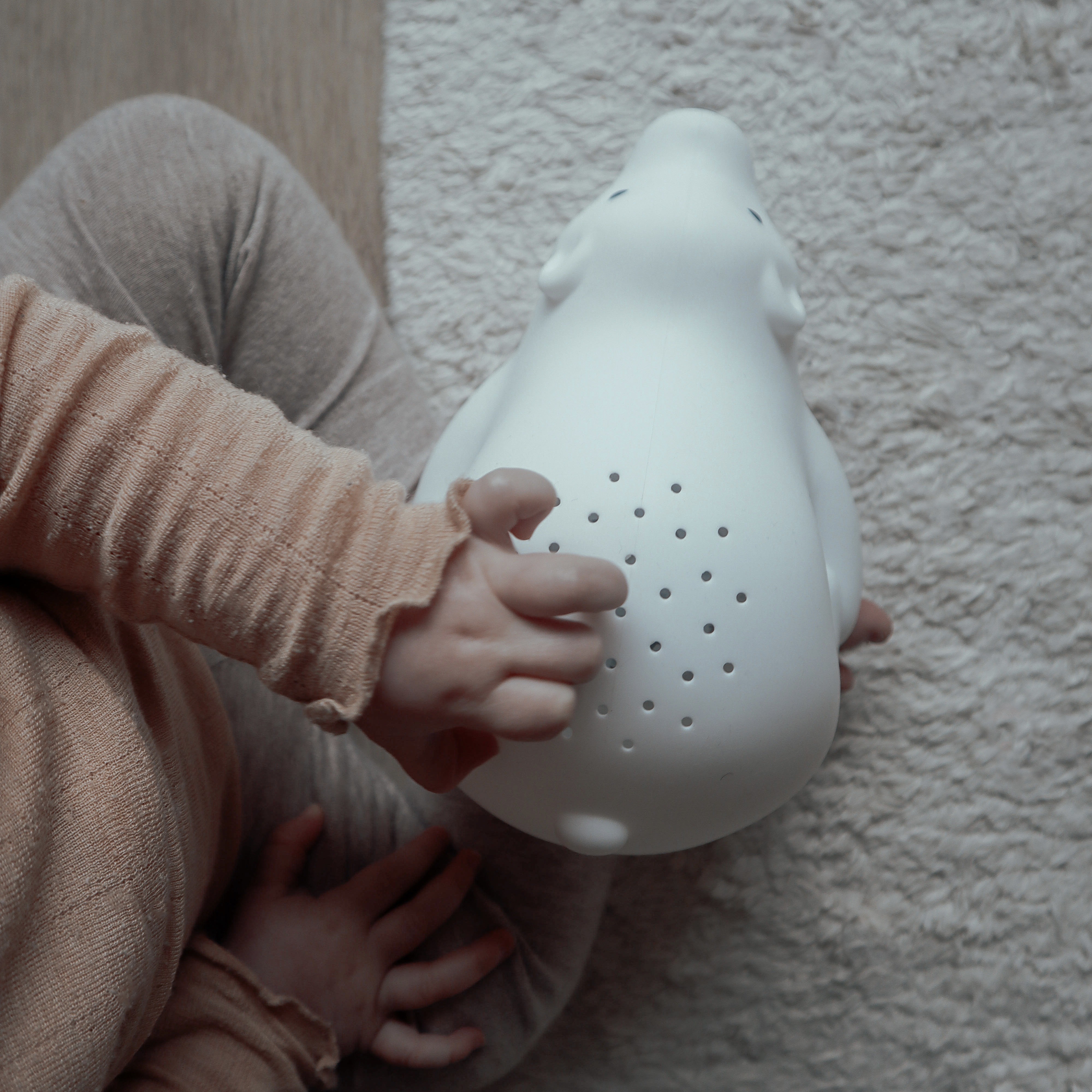 Flow Amsterdam Projektor Björn