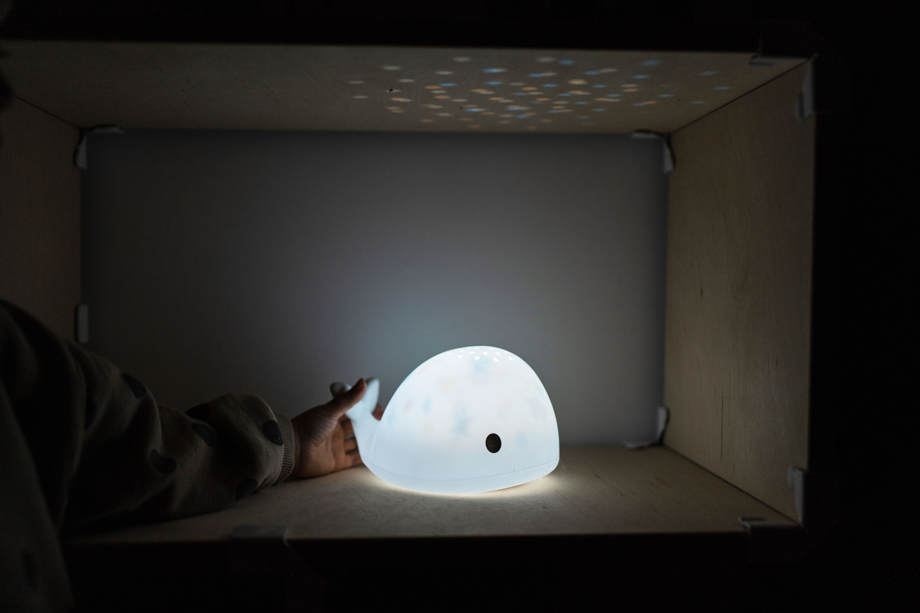 Flow Amsterdam Projektor Moby