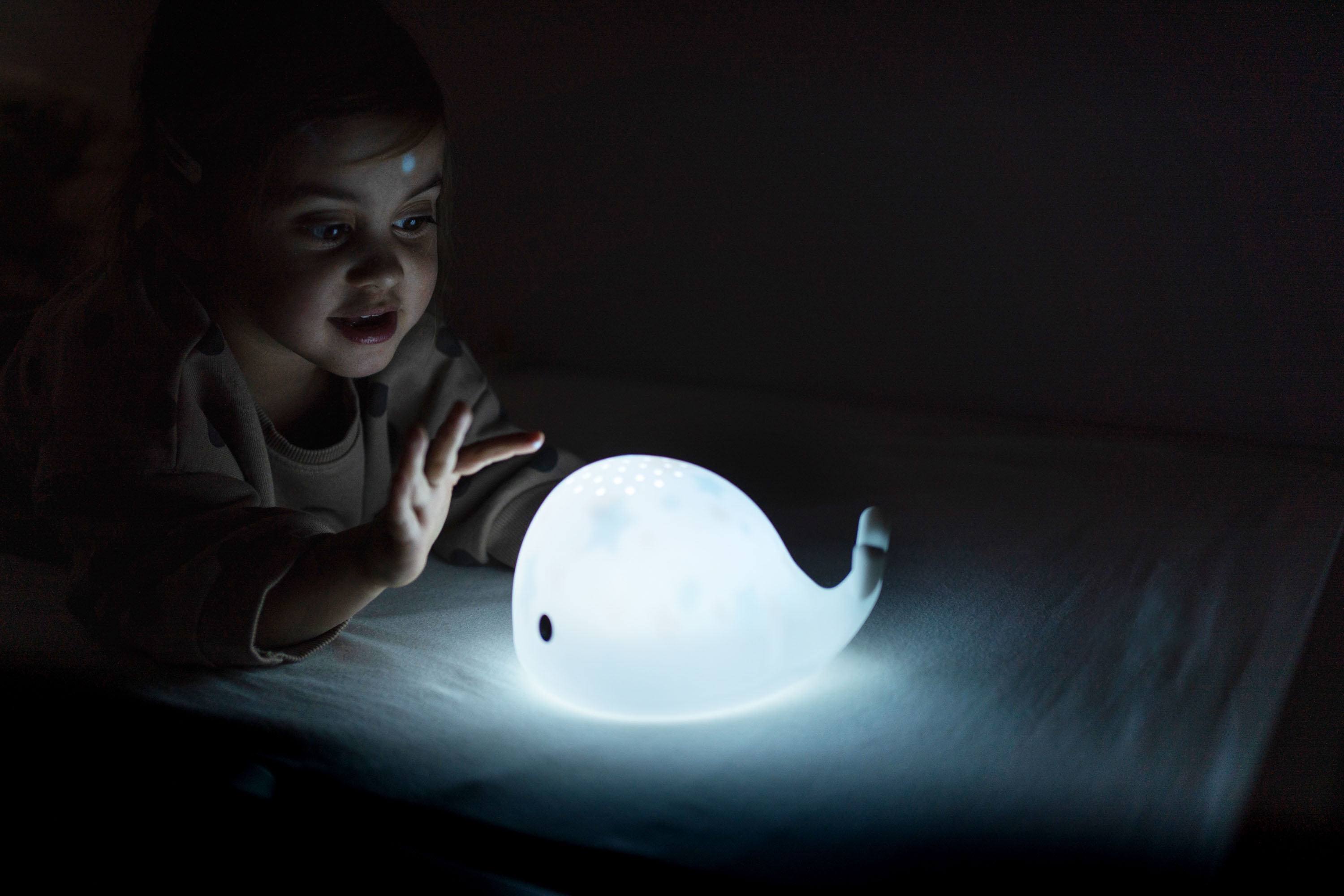 Flow Amsterdam Projektor Moby