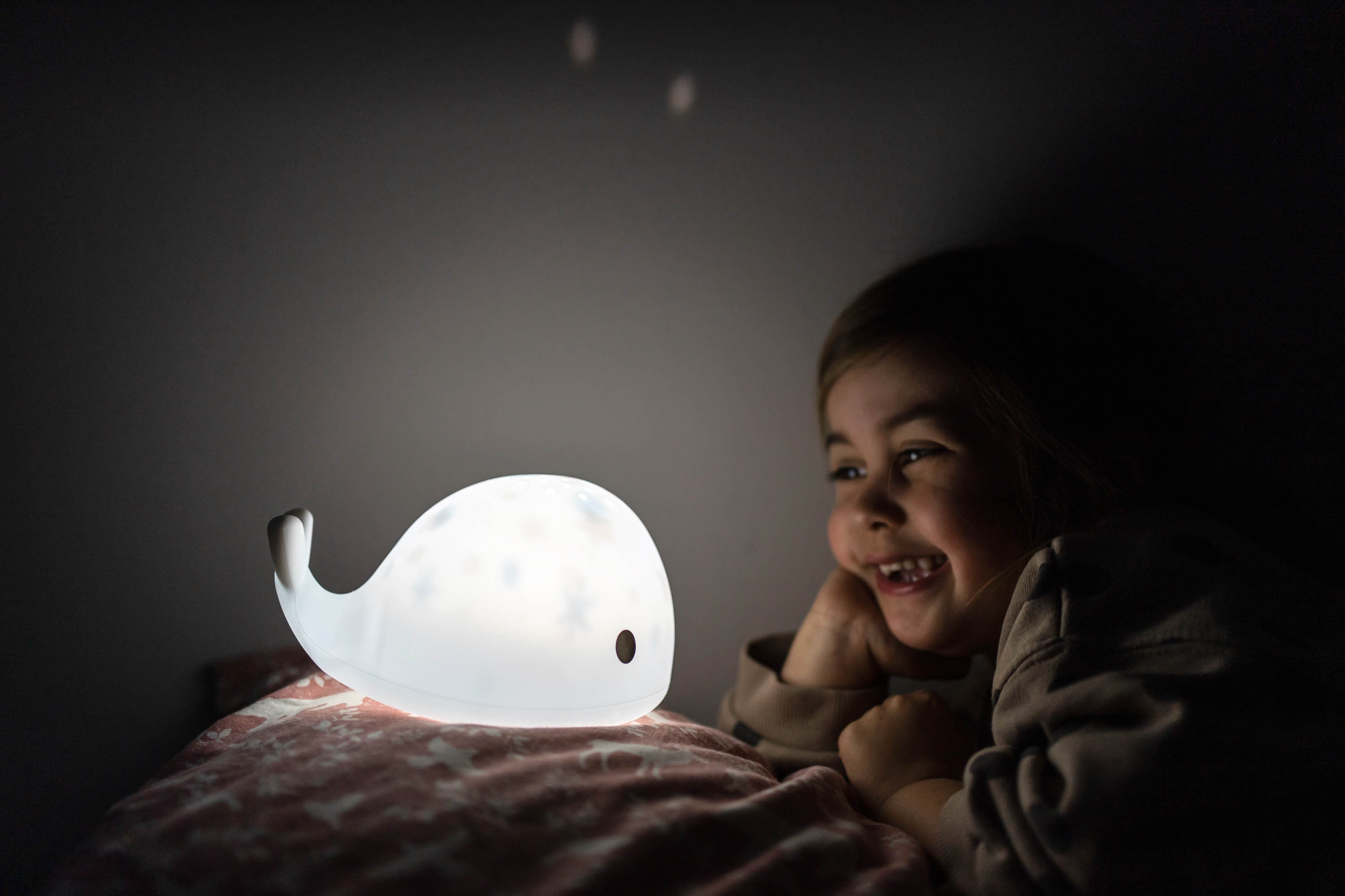 Flow Amsterdam Projektor Moby