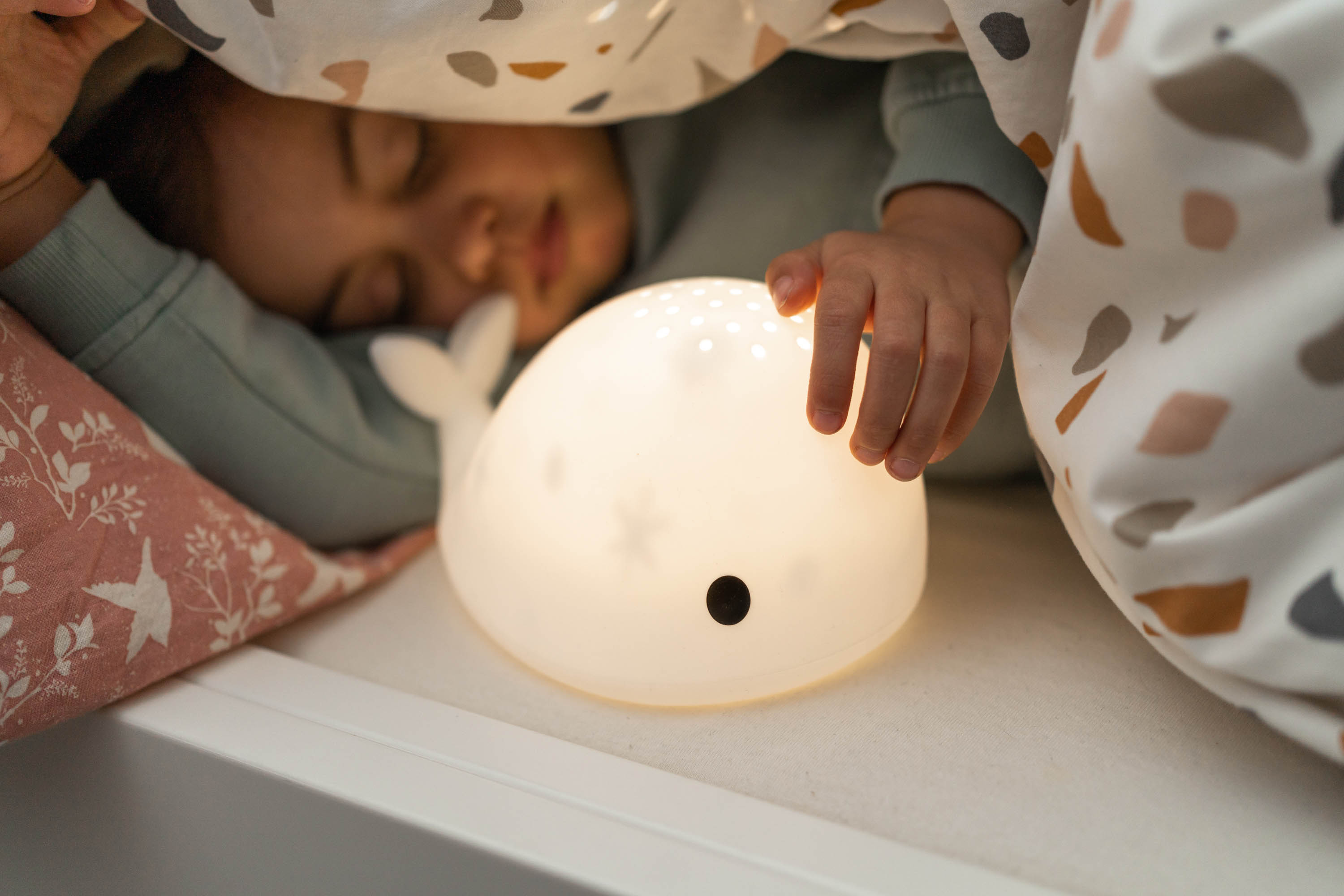 Flow Amsterdam Projektor Moby