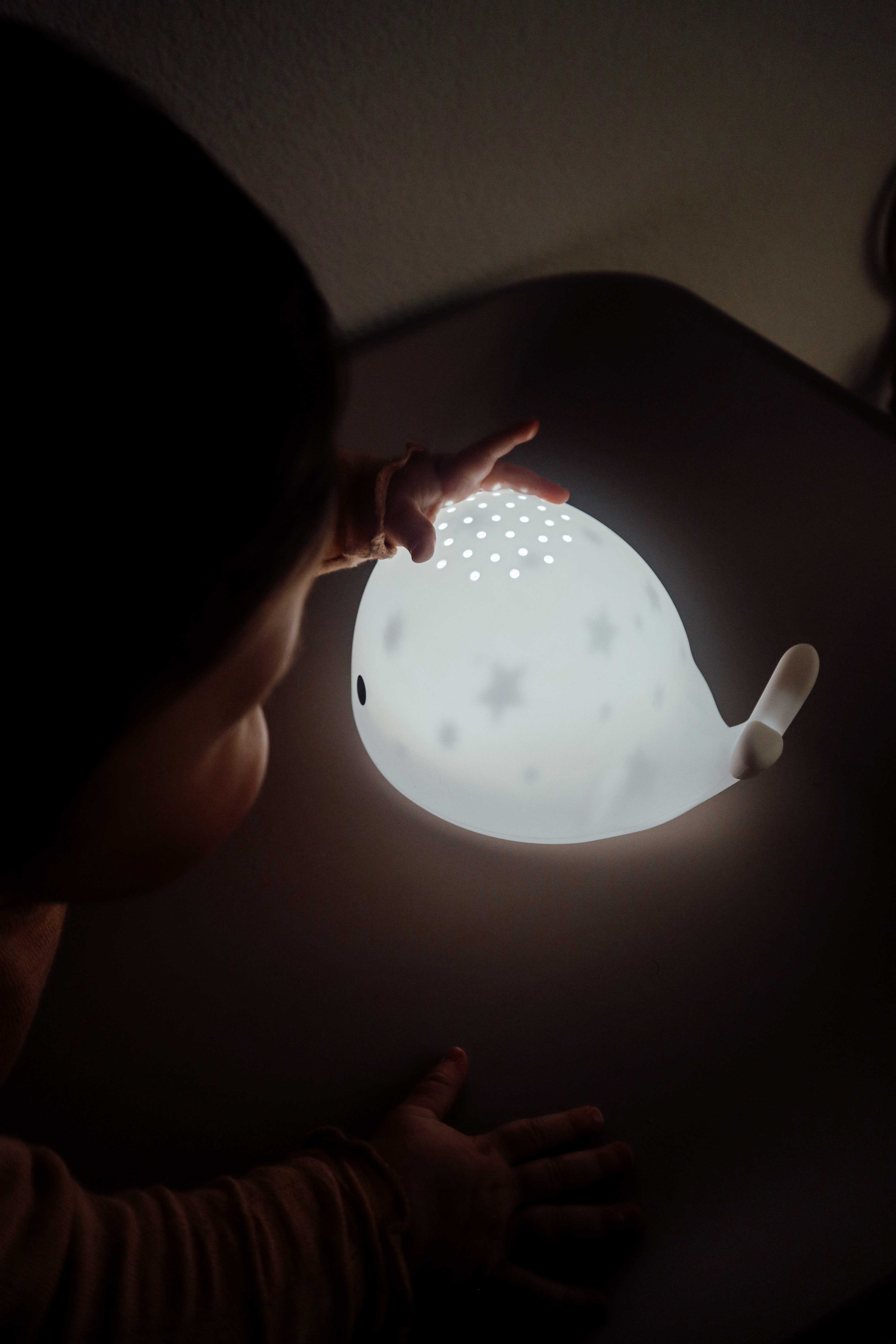 Flow Amsterdam Projektor Moby