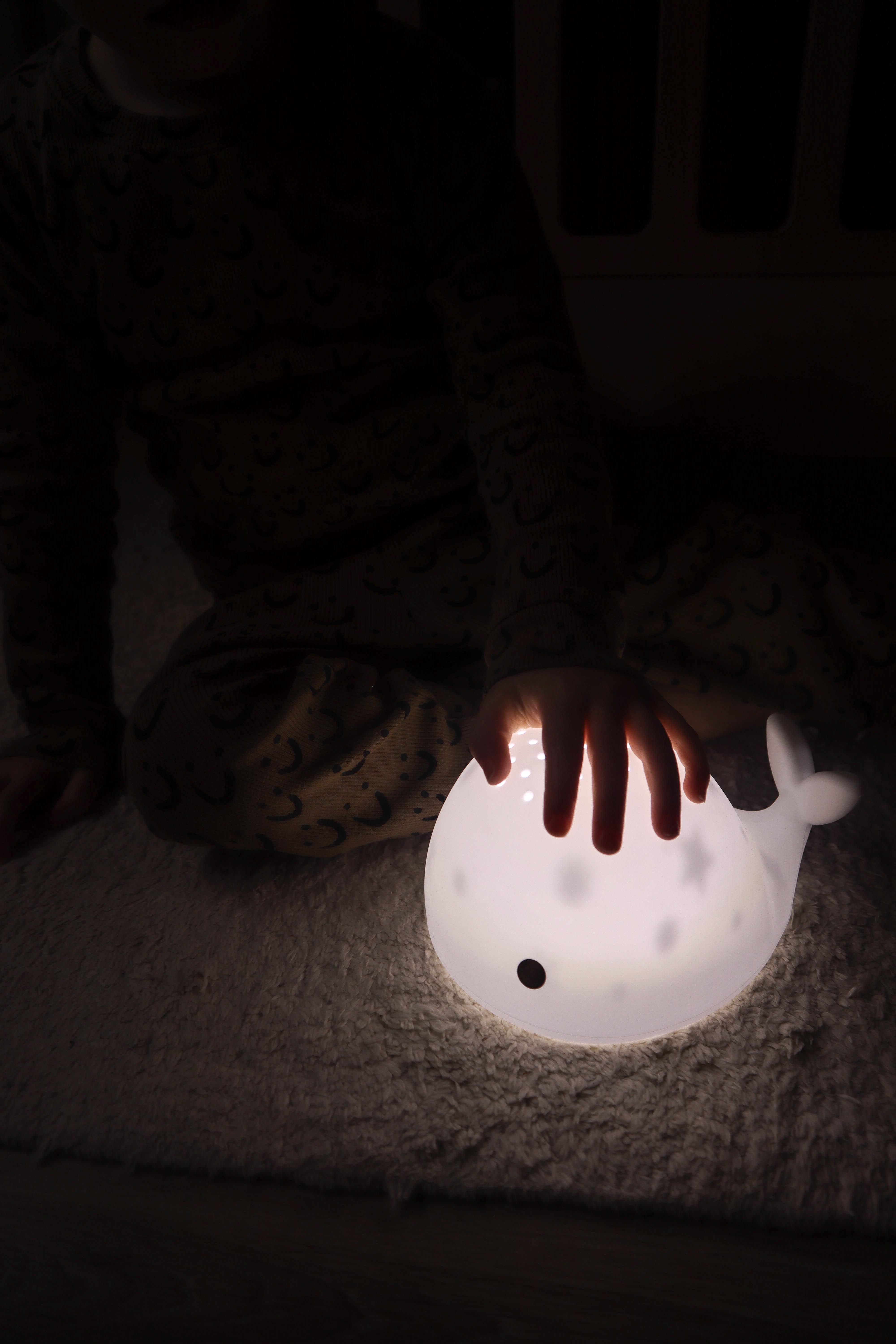 Flow Amsterdam Projektor Moby