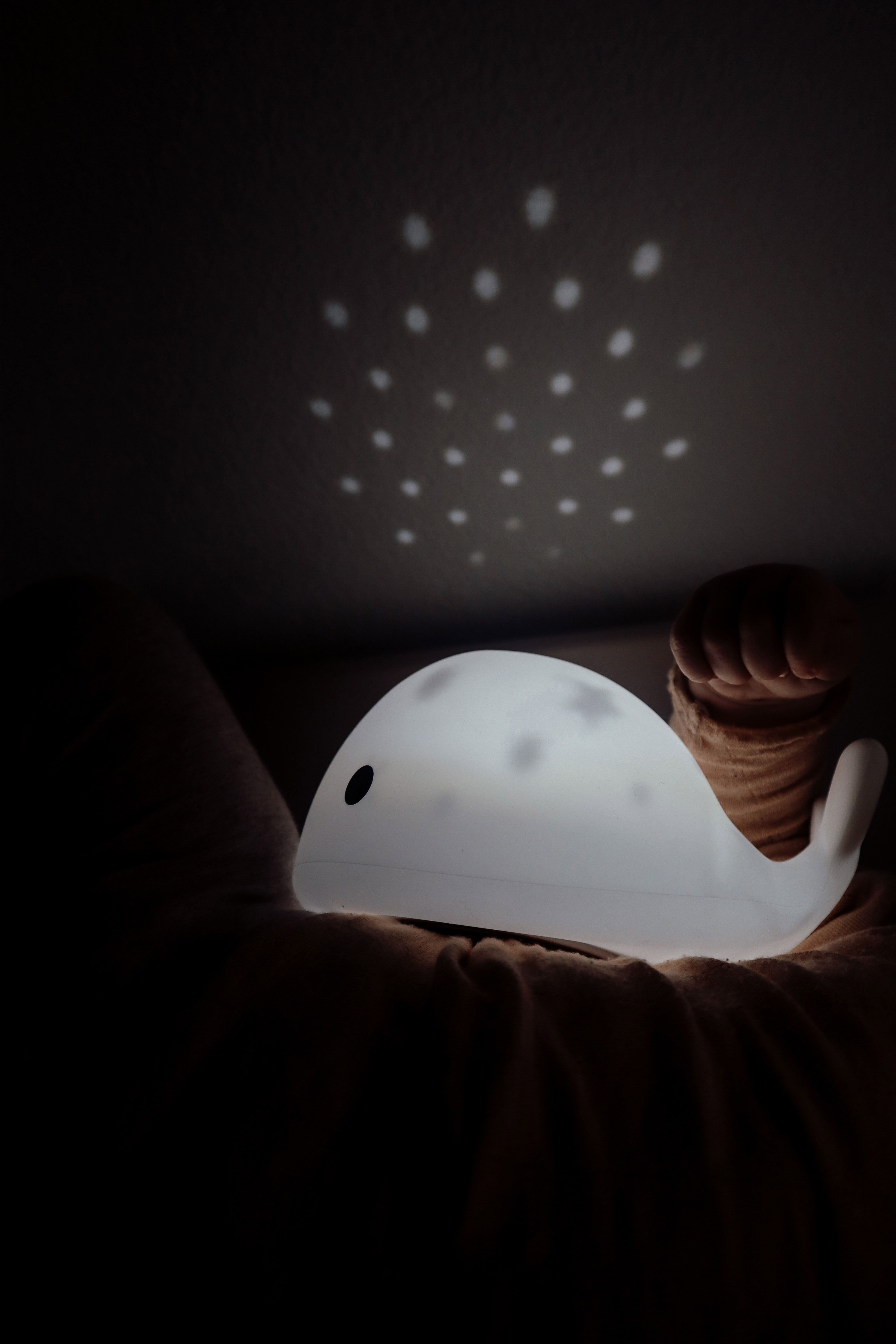 Flow Amsterdam Projektor Moby