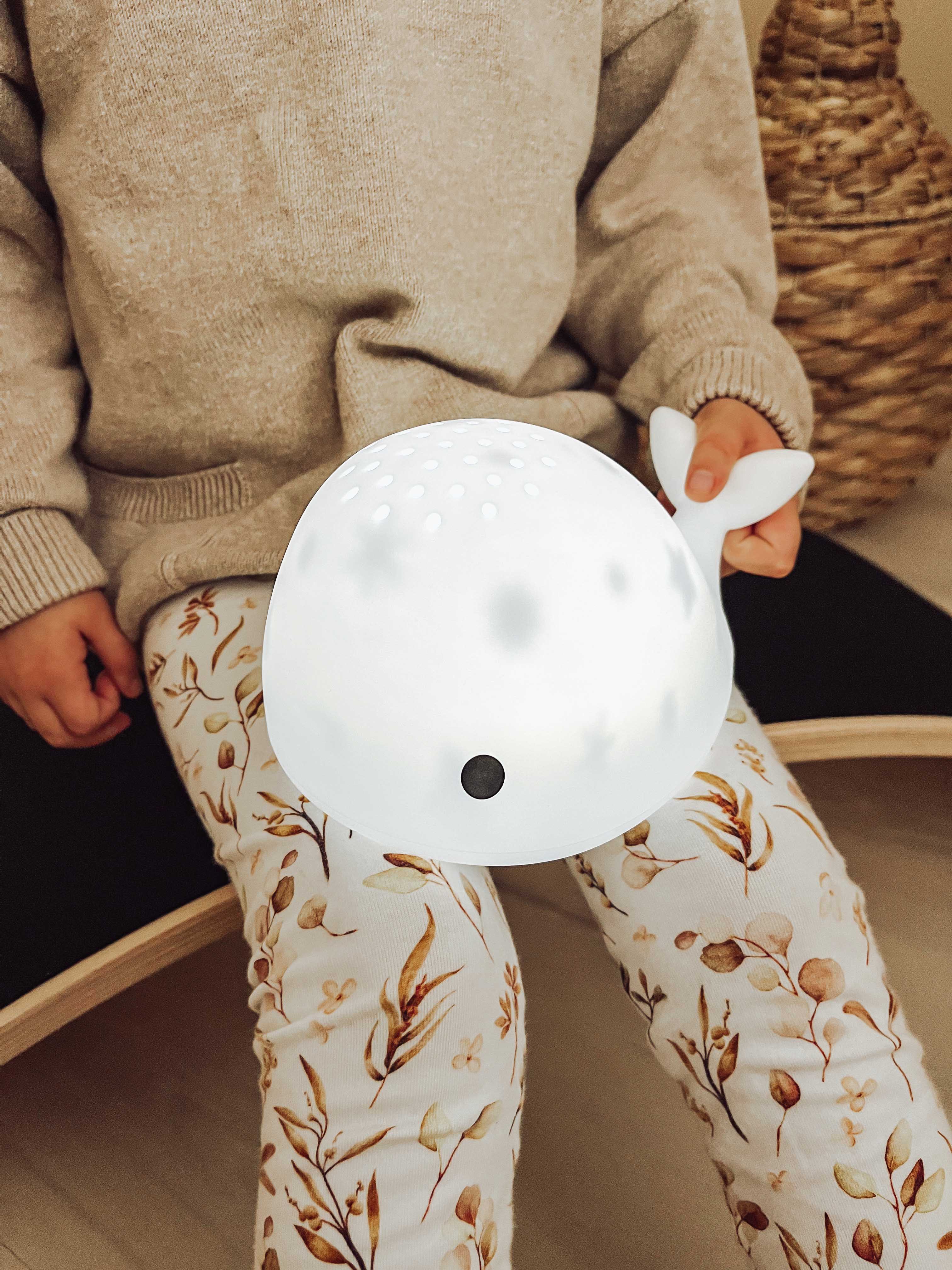 Flow Amsterdam Projektor Moby