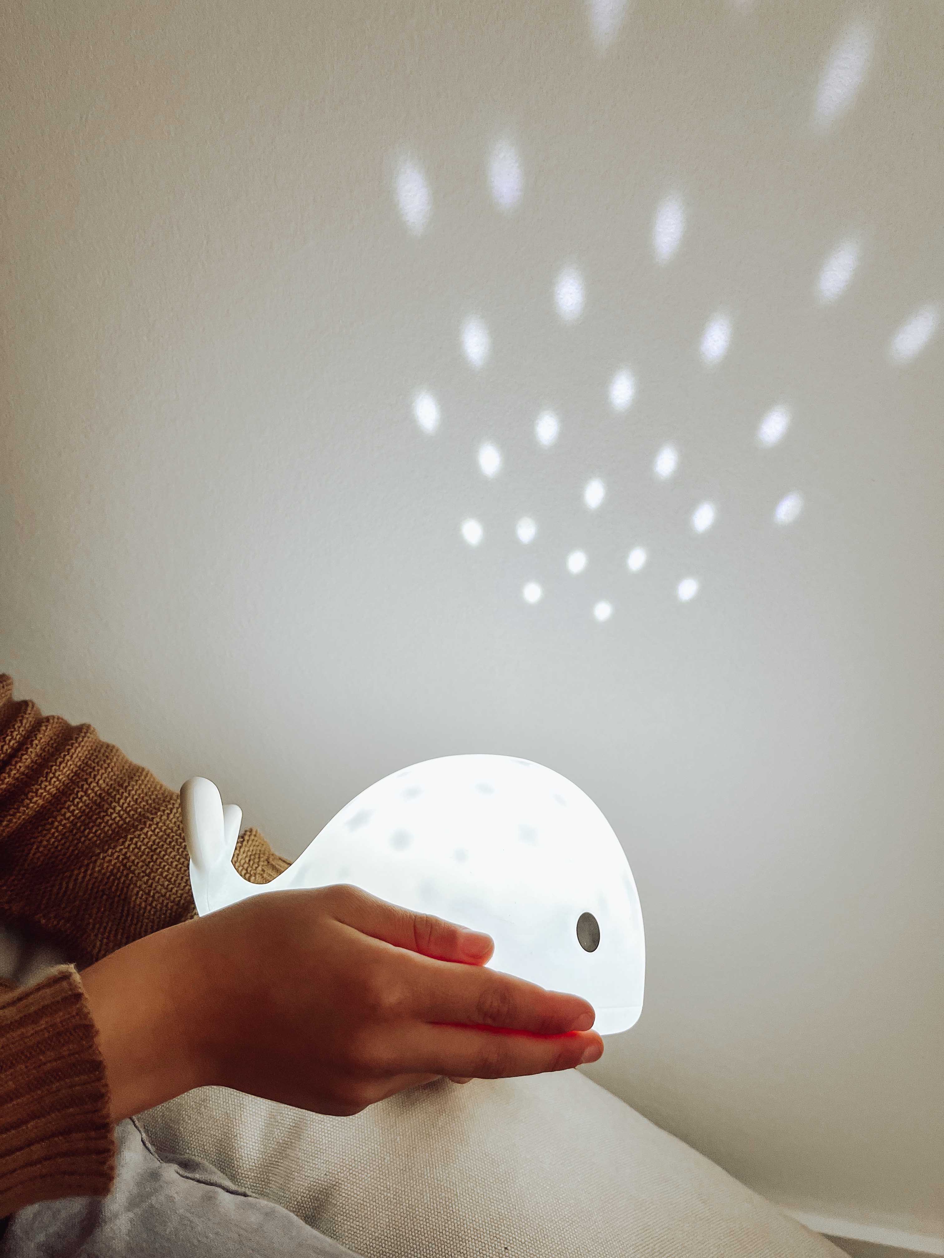 Flow Amsterdam Projektor Moby