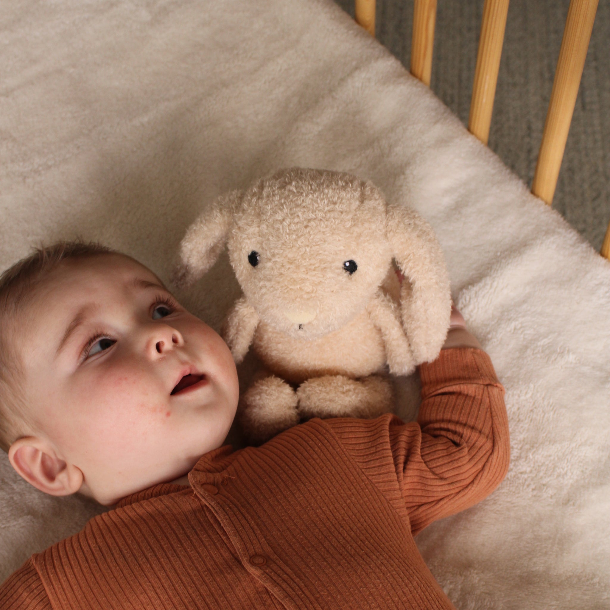 Flow Amsterdam Pehme öölamp Milo