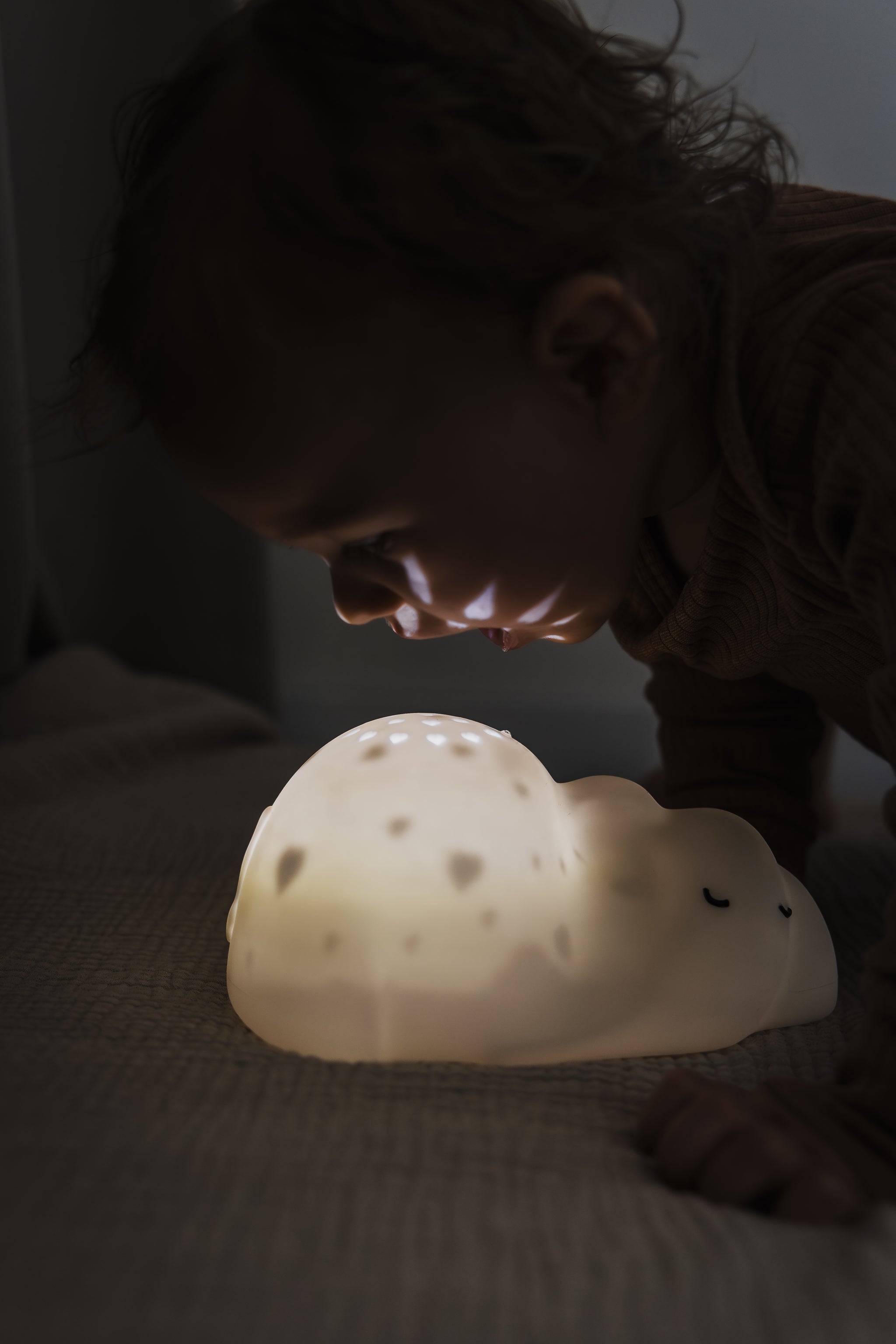 Flow Amsterdam Projektor George