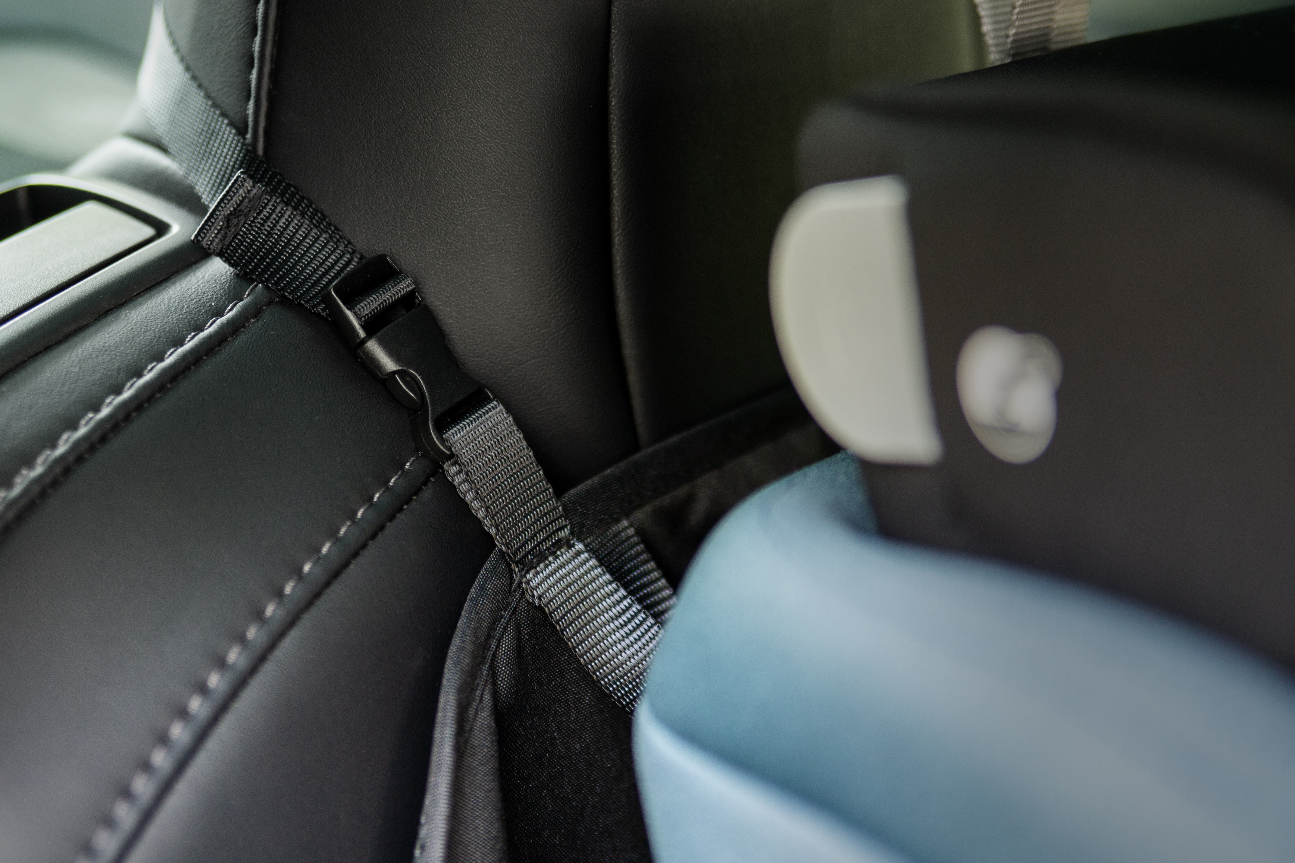 Swandoo universaalne istmekaitse