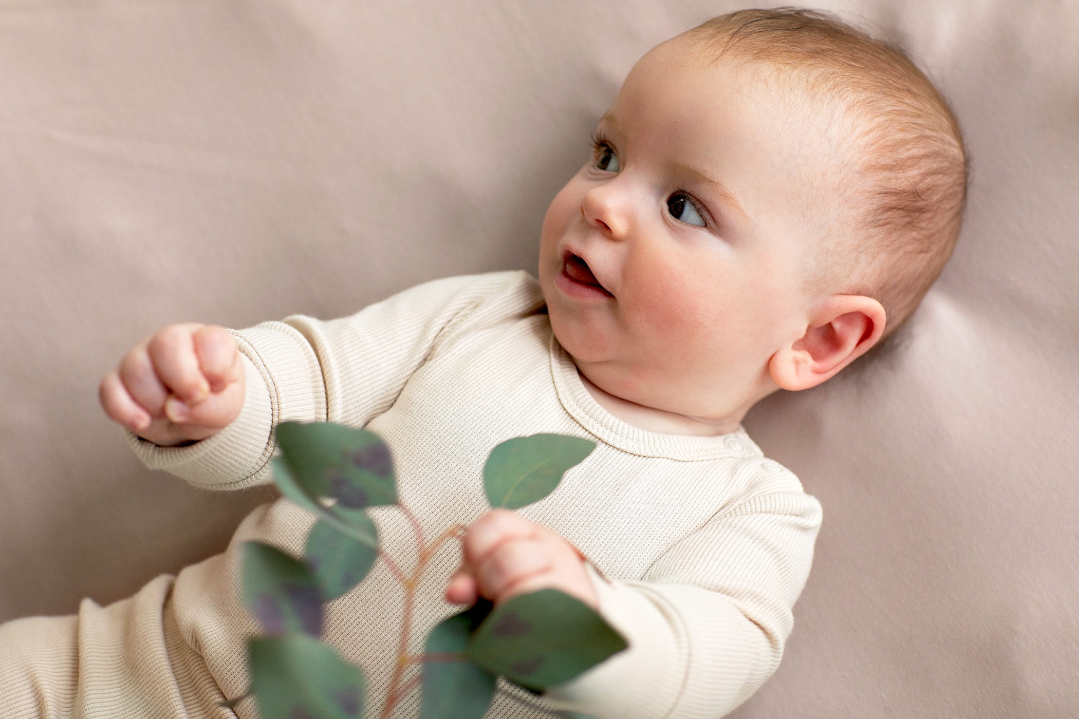 Kummiga voodilina, nugat