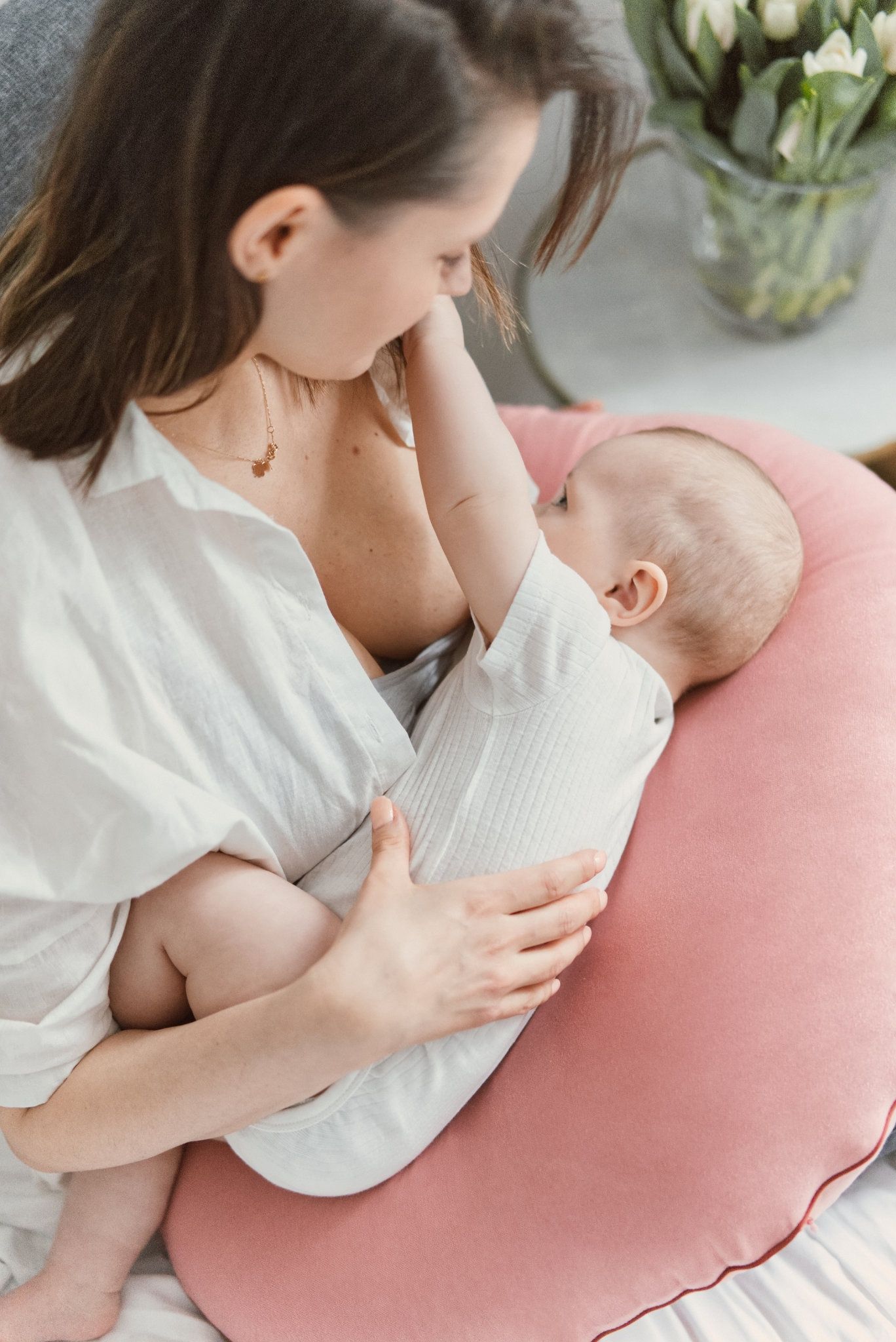 Organic Nursing Pillow