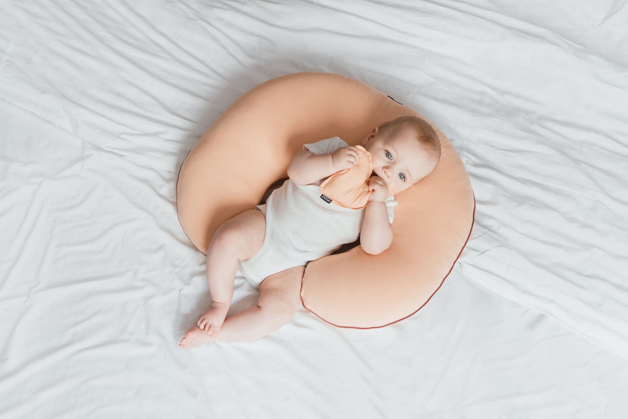 Organic Nursing Pillow