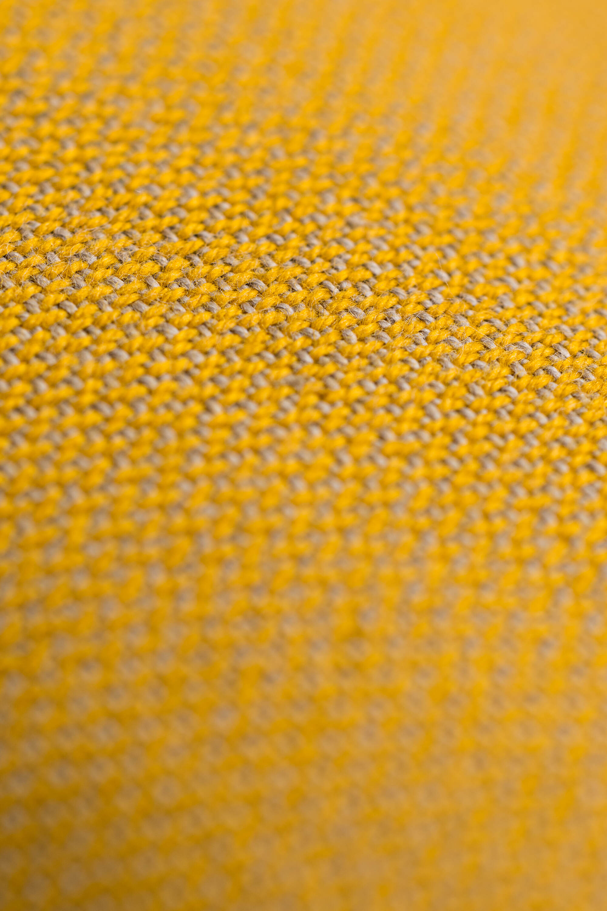 LennyUpGrade carrier Pastels