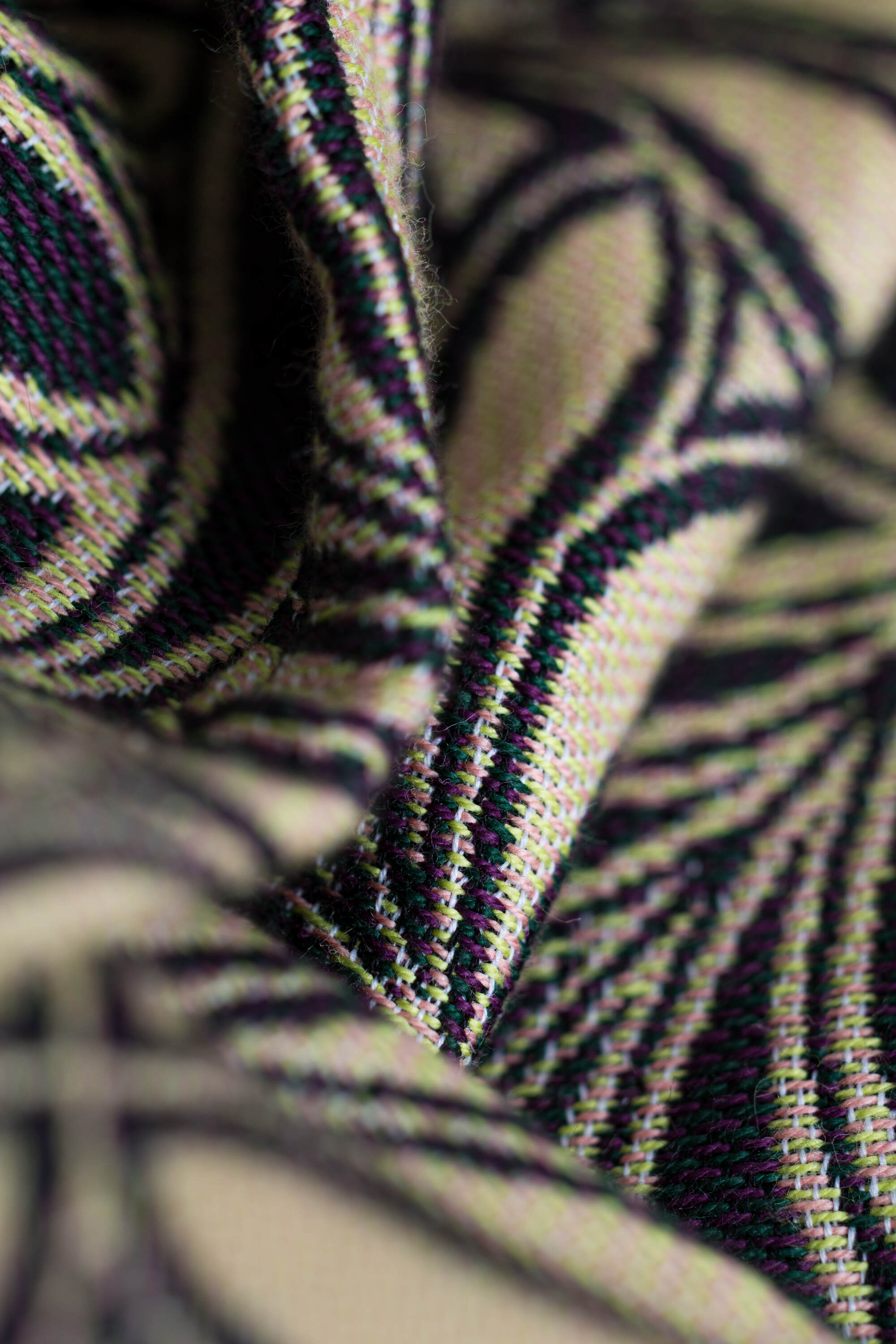 LennyLamb rõngaslina, Infinity Timeless