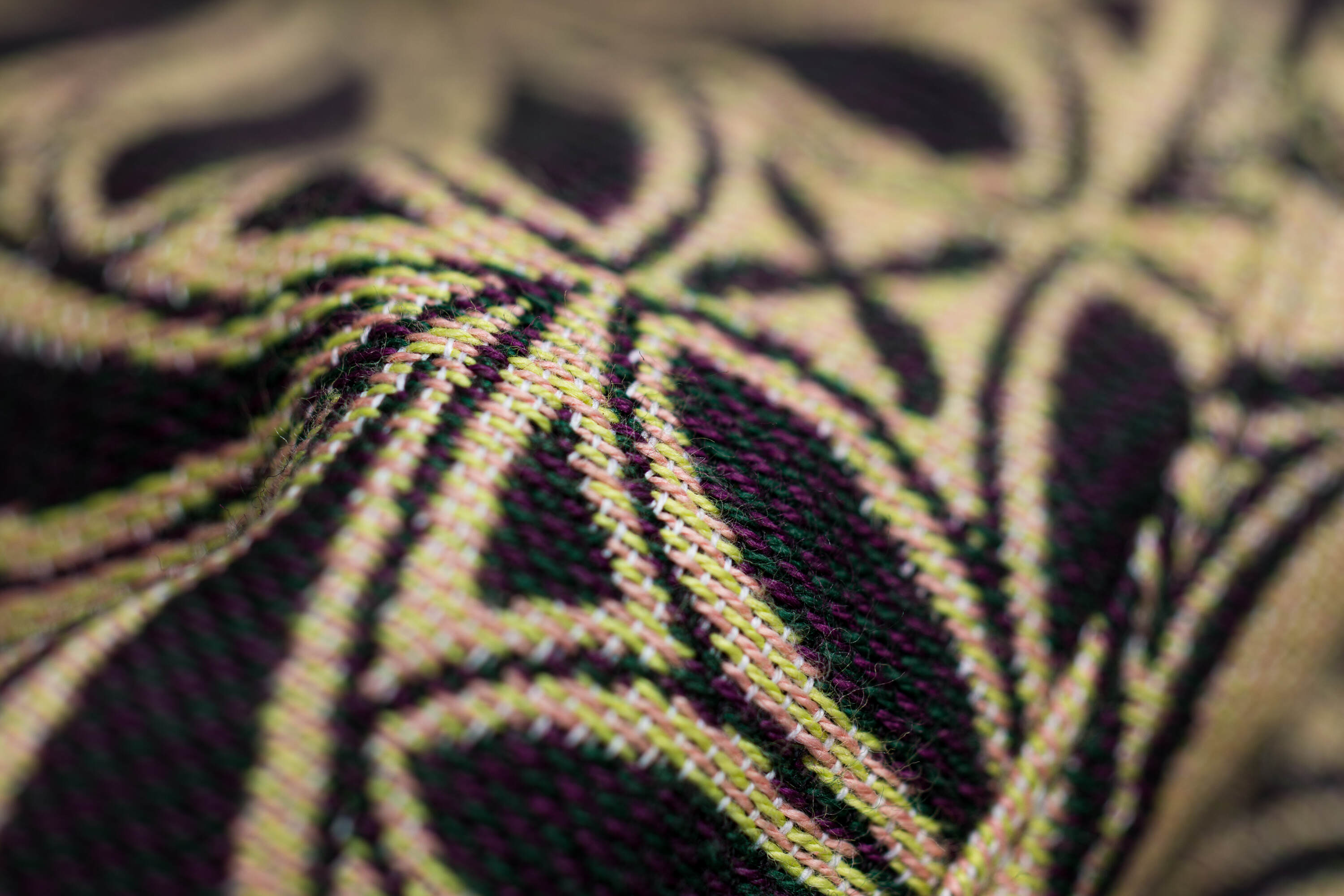 LennyLamb rõngaslina, Infinity Timeless