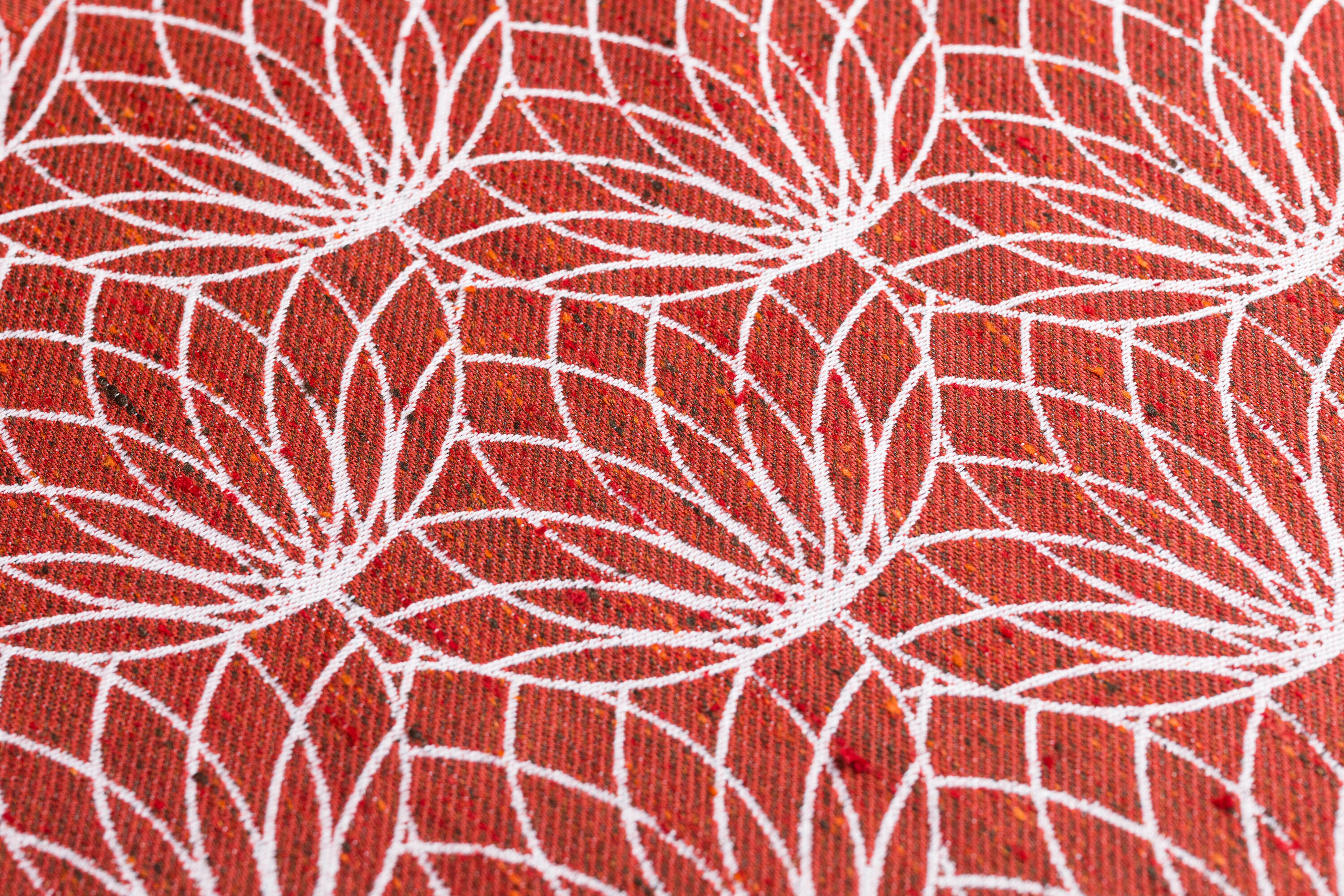 LennyLamb kandelina, Lotus - Foxy