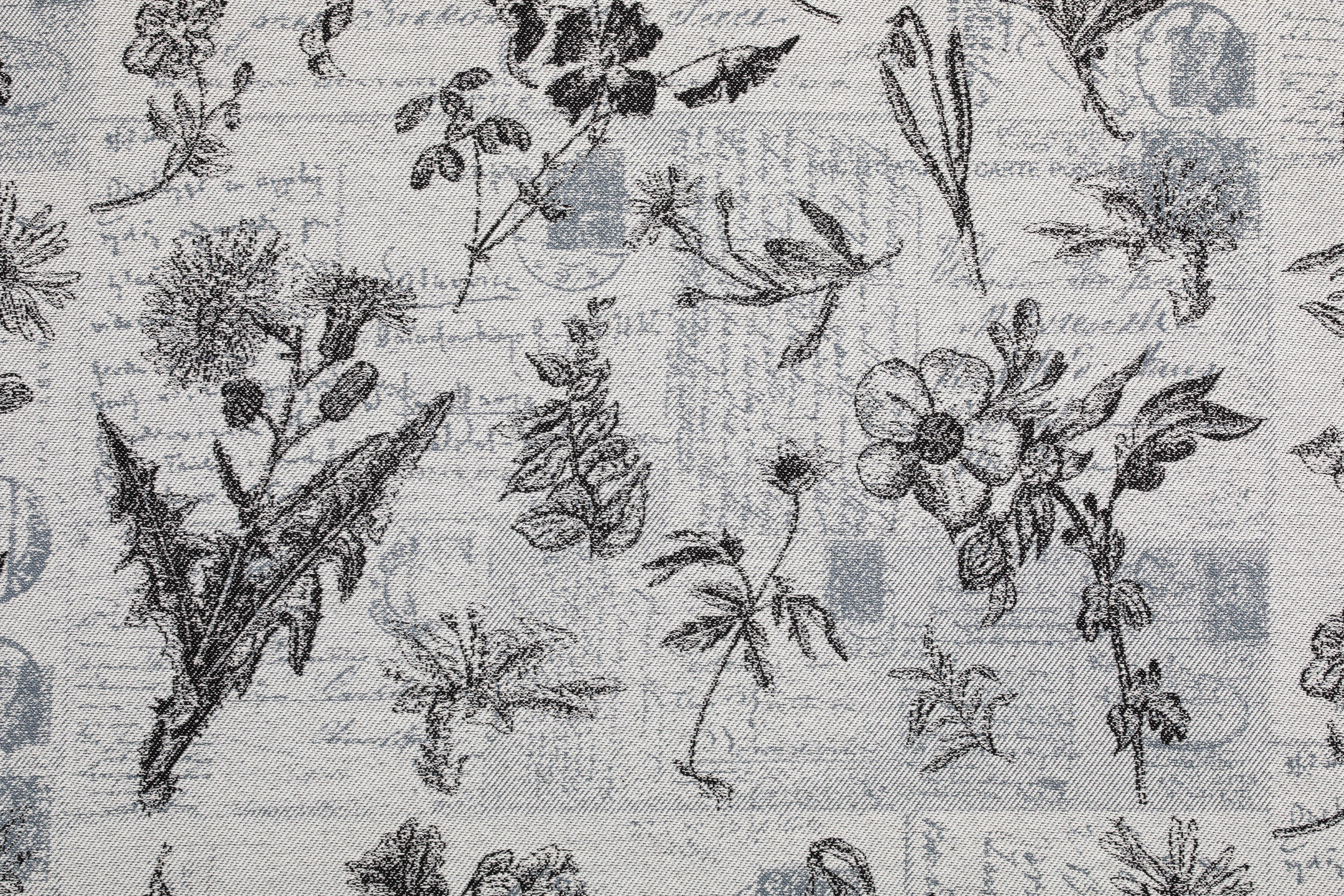 LennyLamb kandelina, Herbarium Roundhay Garden