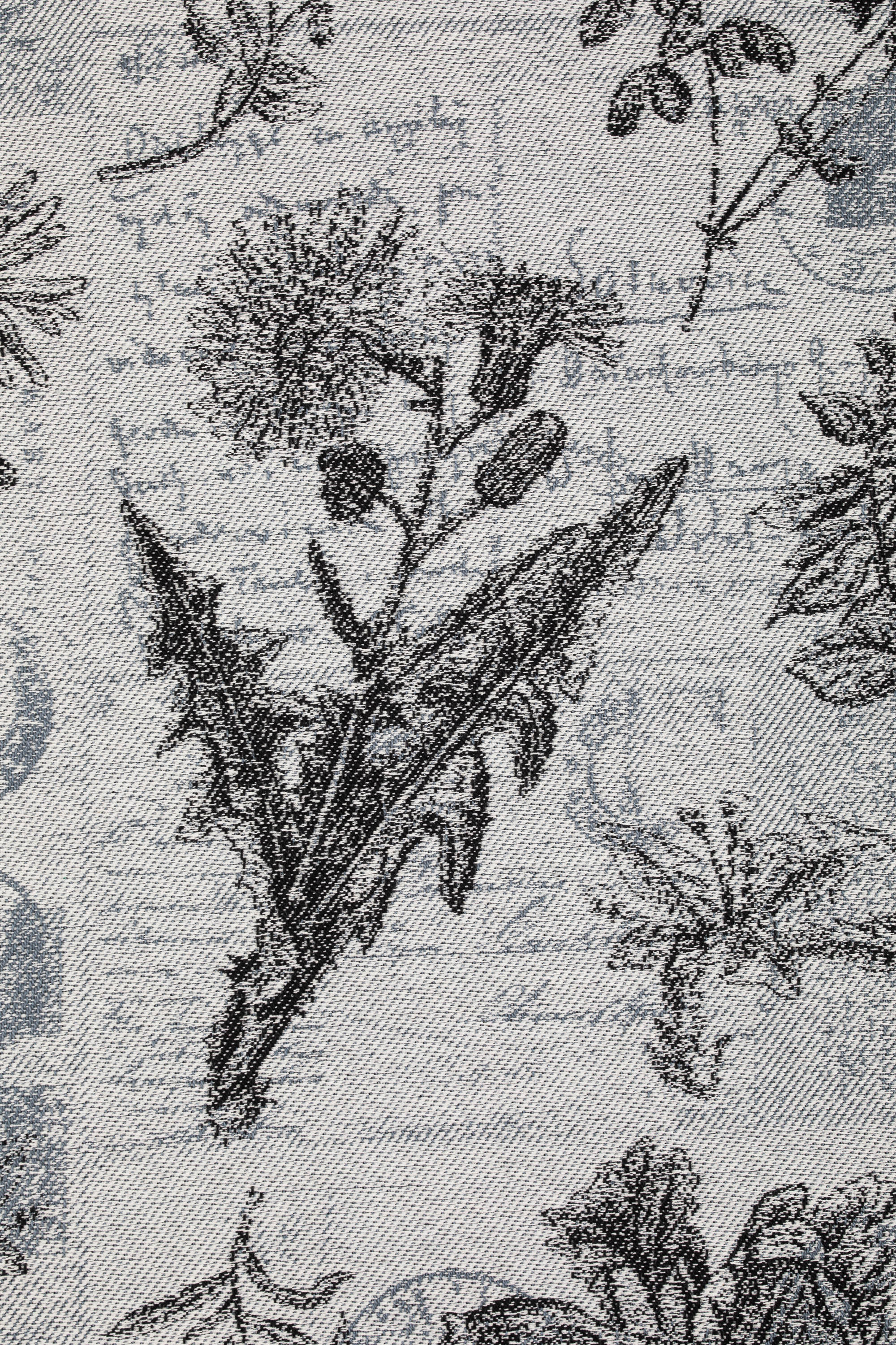 LennyLamb kandelina, Herbarium Roundhay Garden