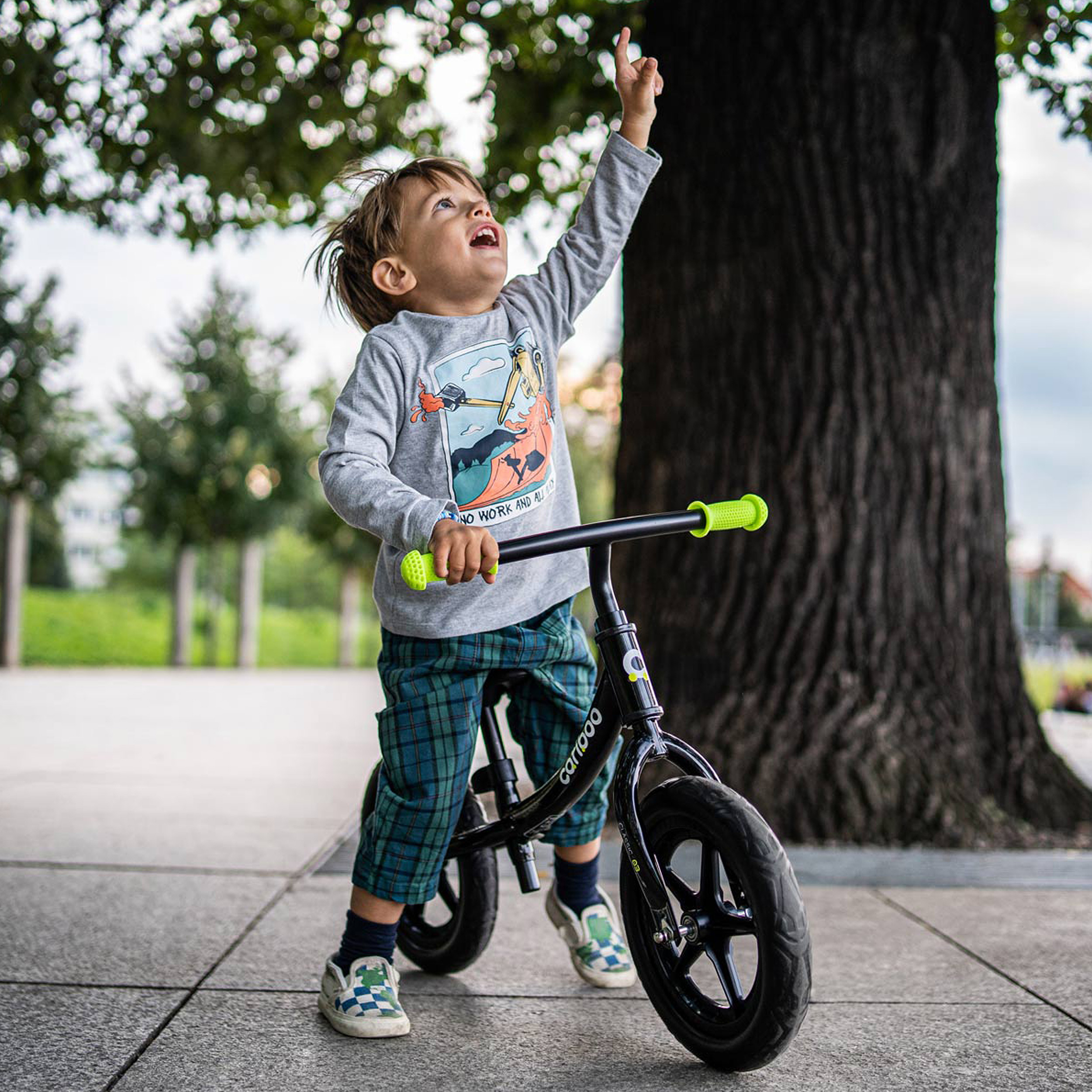 Cariboo CLASSIC tasakaaluratas (värvivalik)