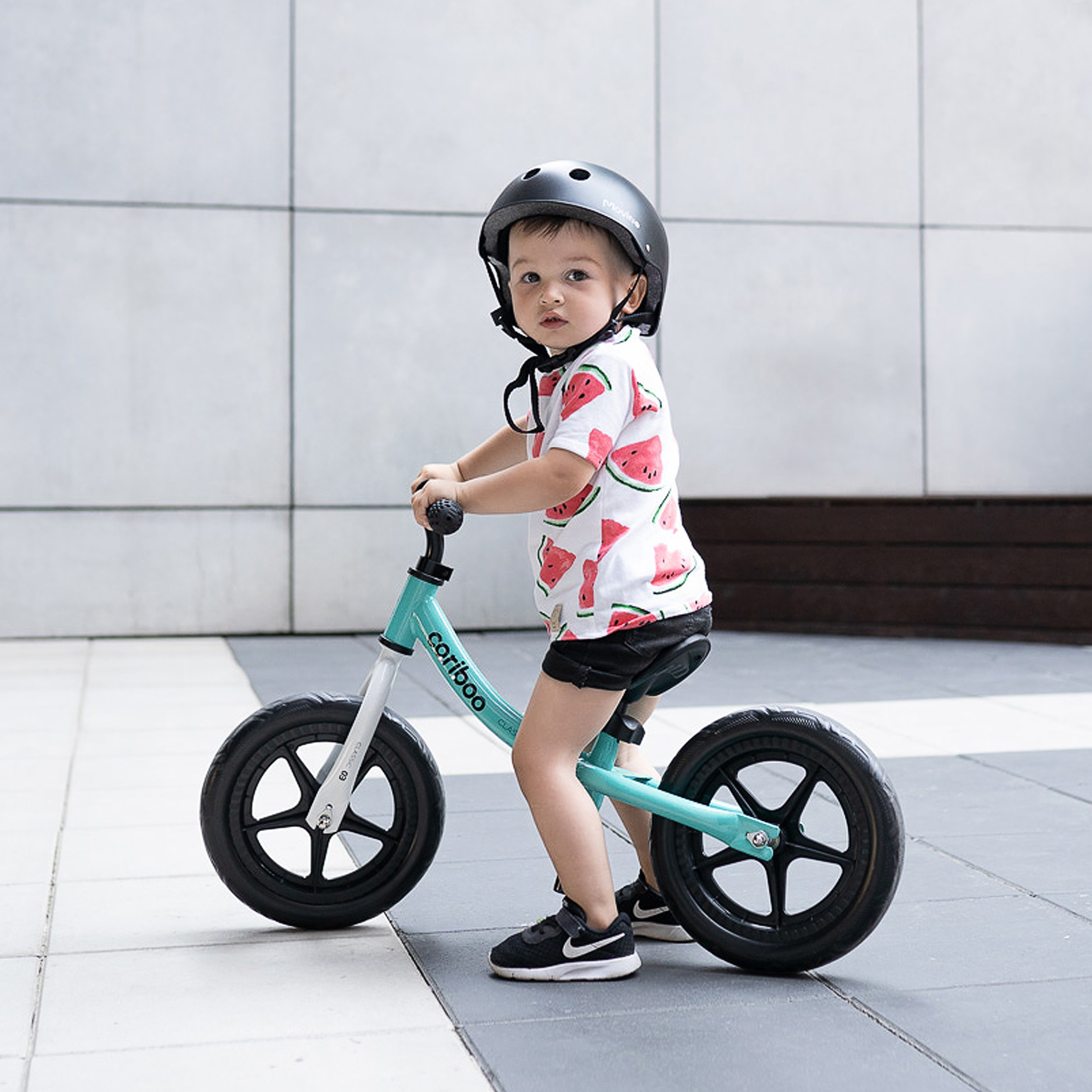 Cariboo CLASSIC tasakaaluratas (värvivalik)