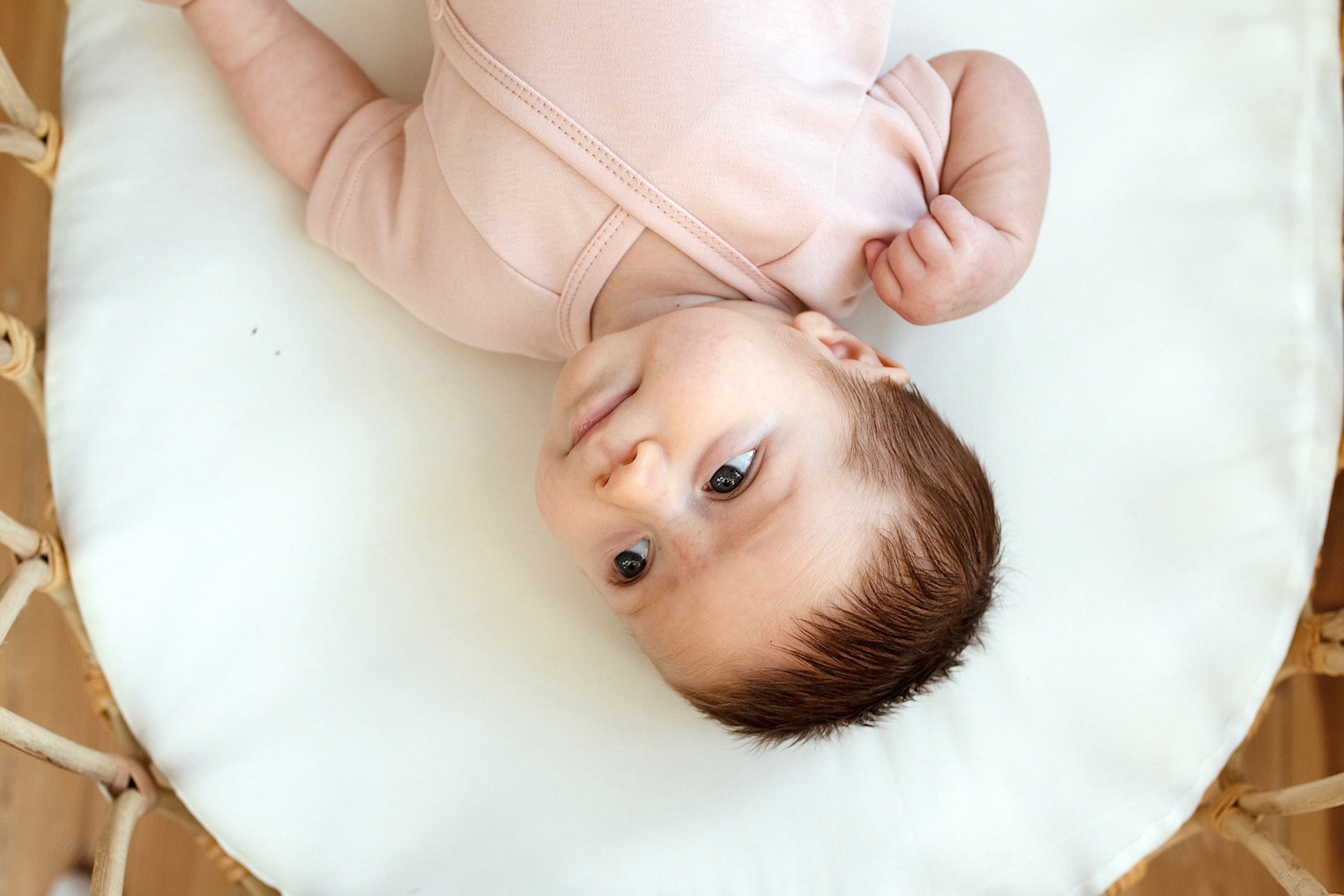 Poofi Short-sleeve body, Pudre