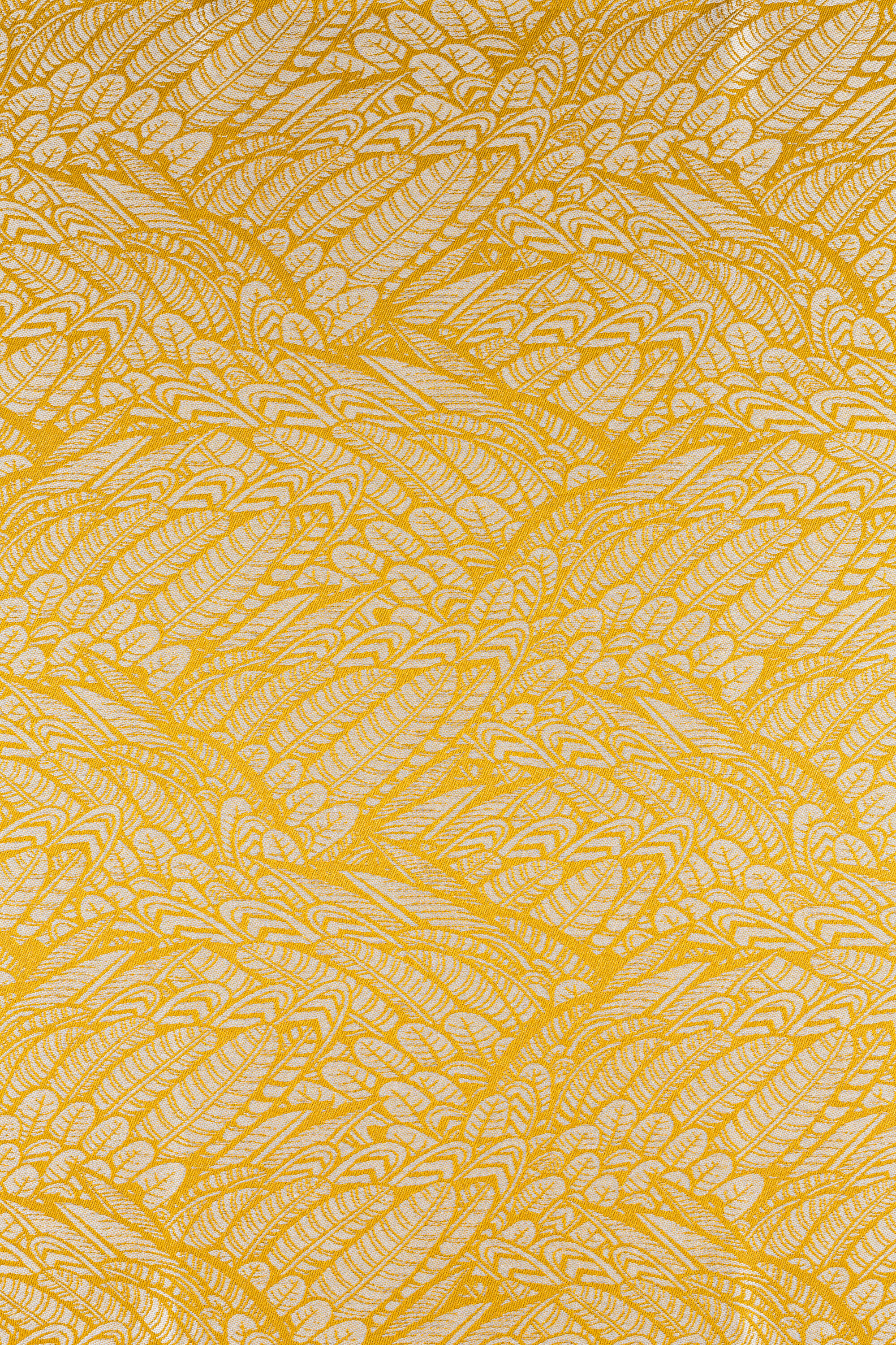 LennyHybrid kandekott, Wild Soul - Aurum