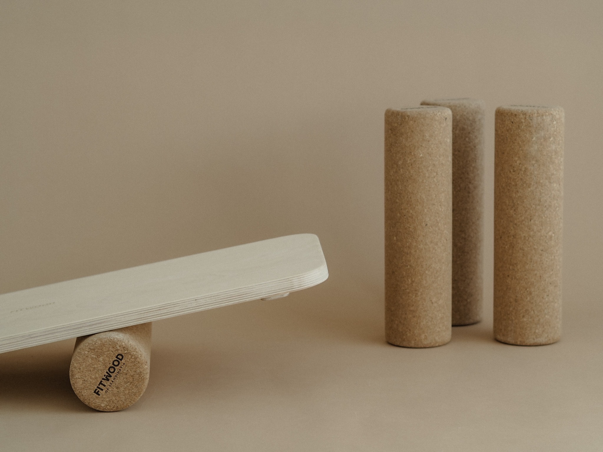 FitWood ALAVA balance board 