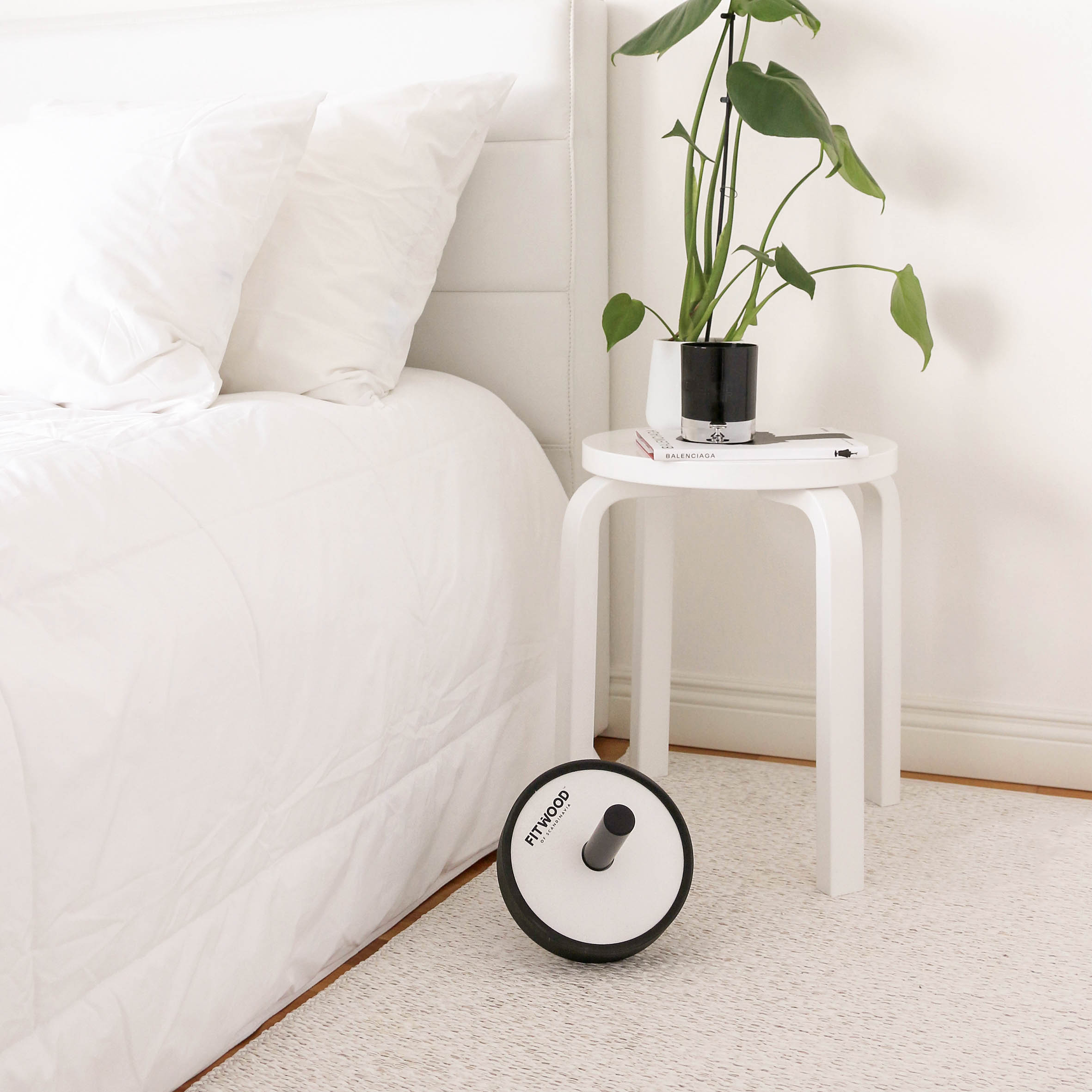 FitWood KIVI exercise wheel