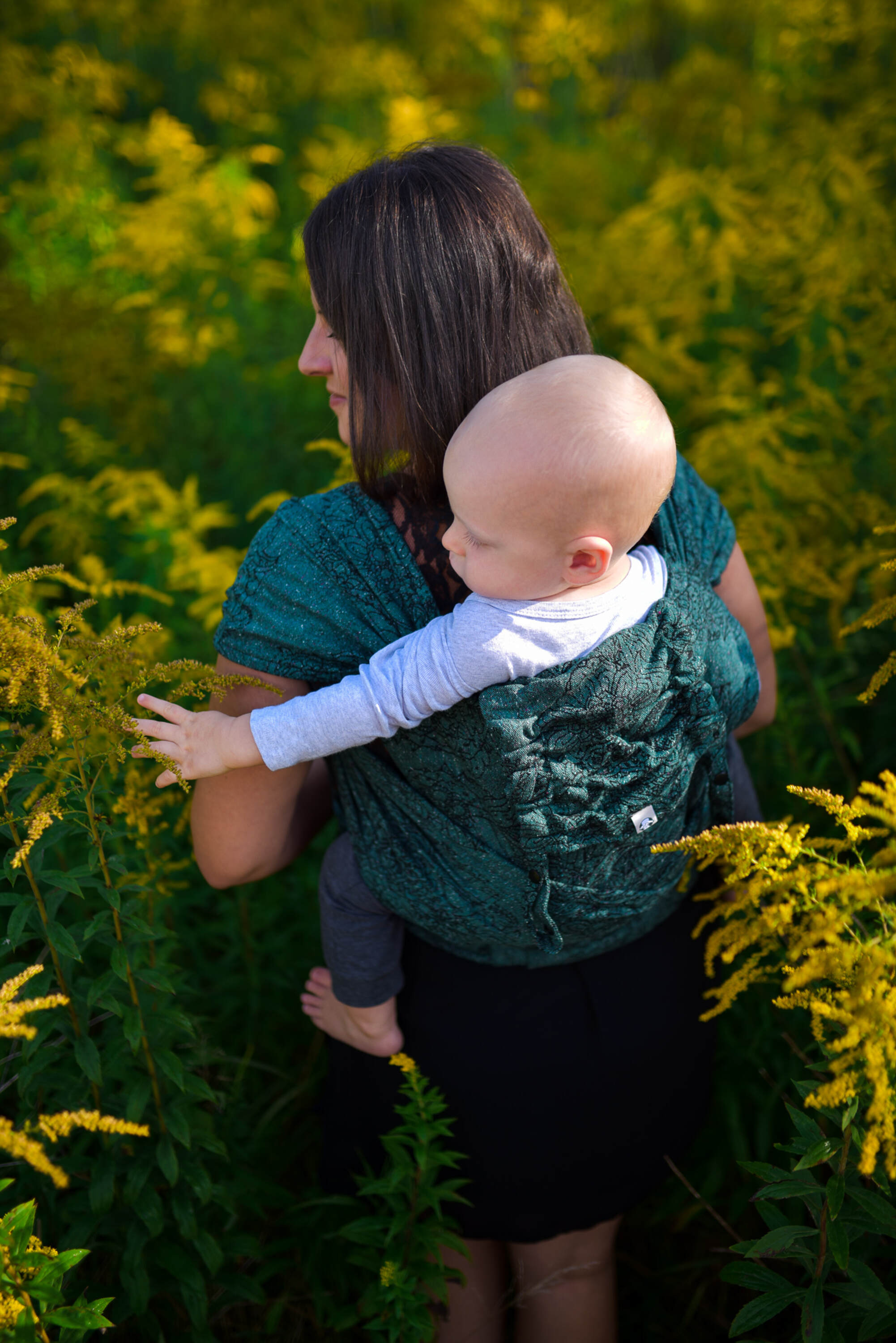 LennyHybrid kandekott, Wild Wine - Ivy