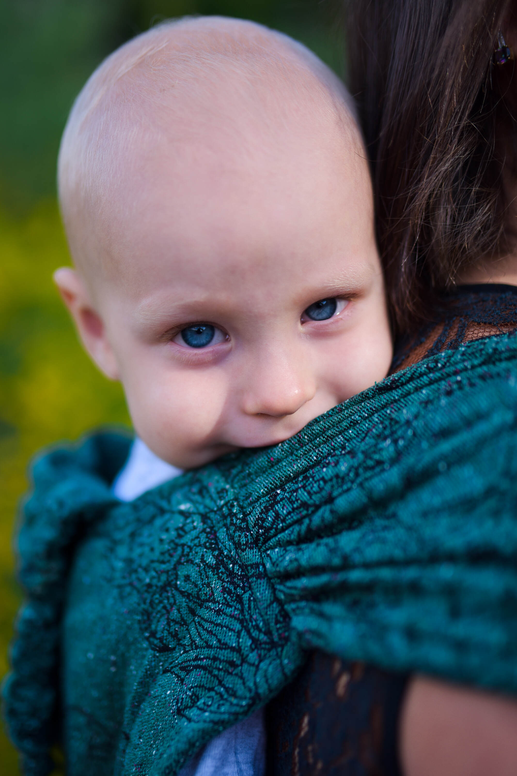 LennyHybrid kandekott, Wild Wine - Ivy