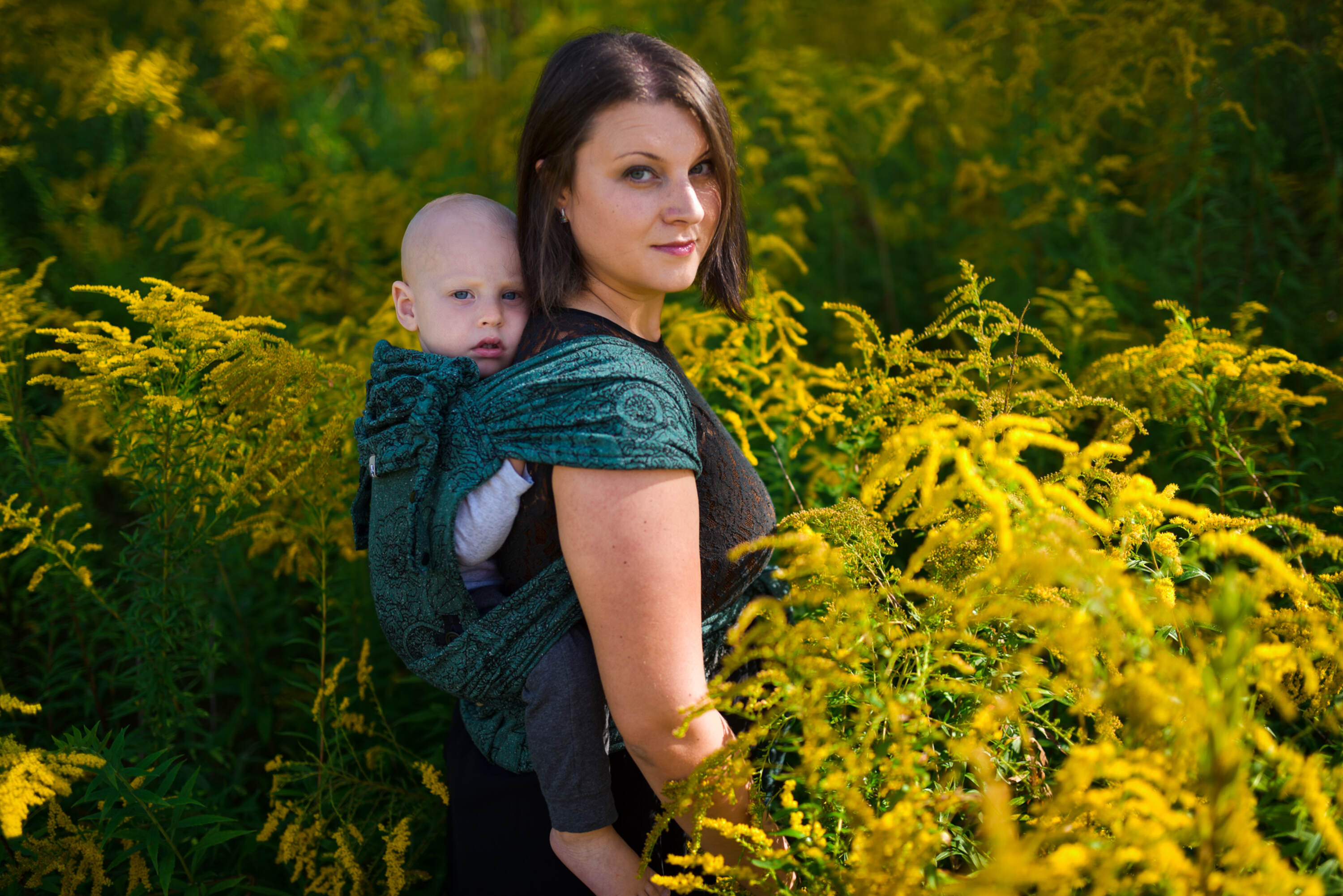 LennyHybrid kandekott, Wild Wine - Ivy