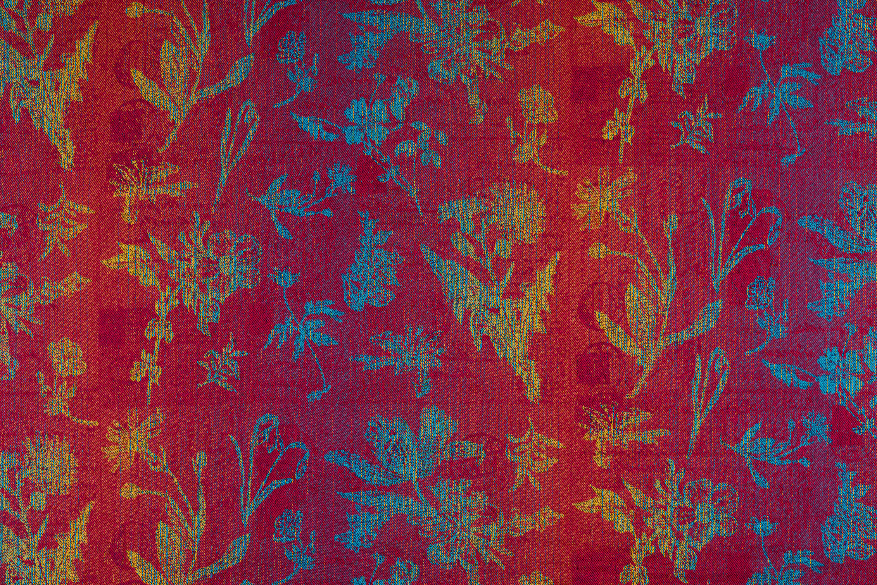 LennyLamb rõngaslina, HERBARIUM - WILD MEADOW 