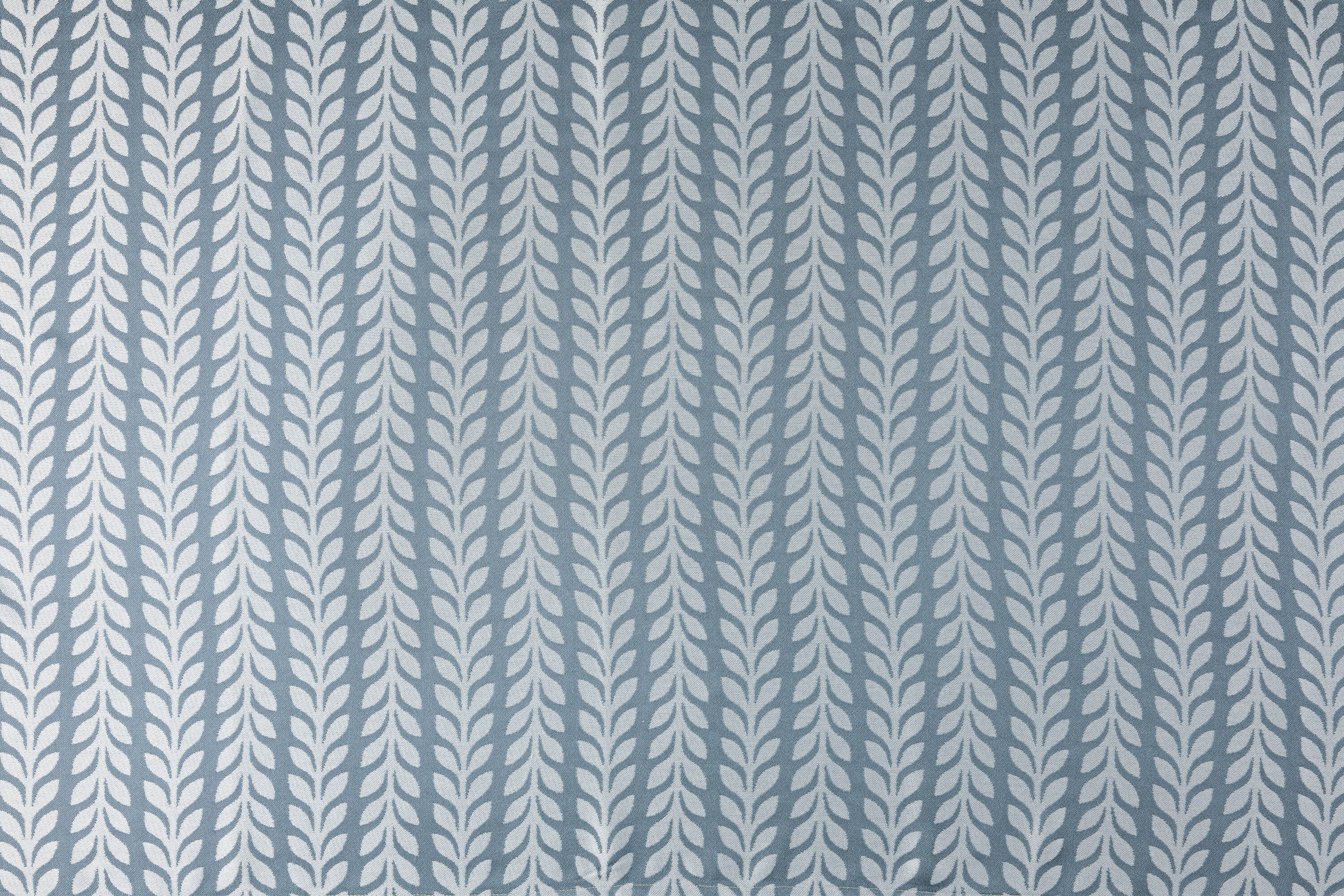 LennyUpGrade carrier CATKIN - WILLOW