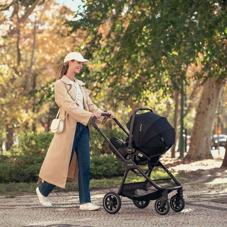 Nuna Arra Flex carseat