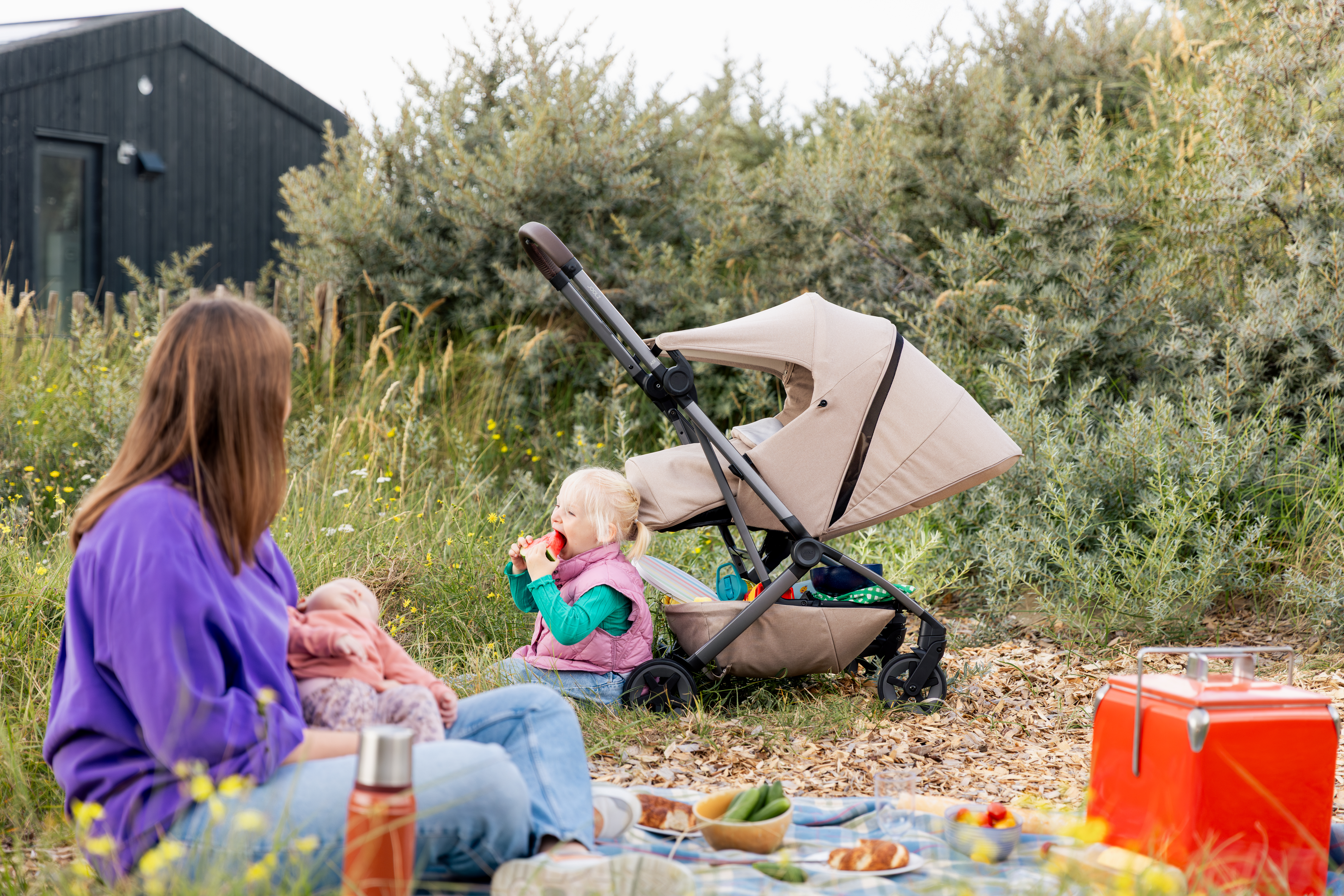 Joolz Aer² selg sõidusuunas iste