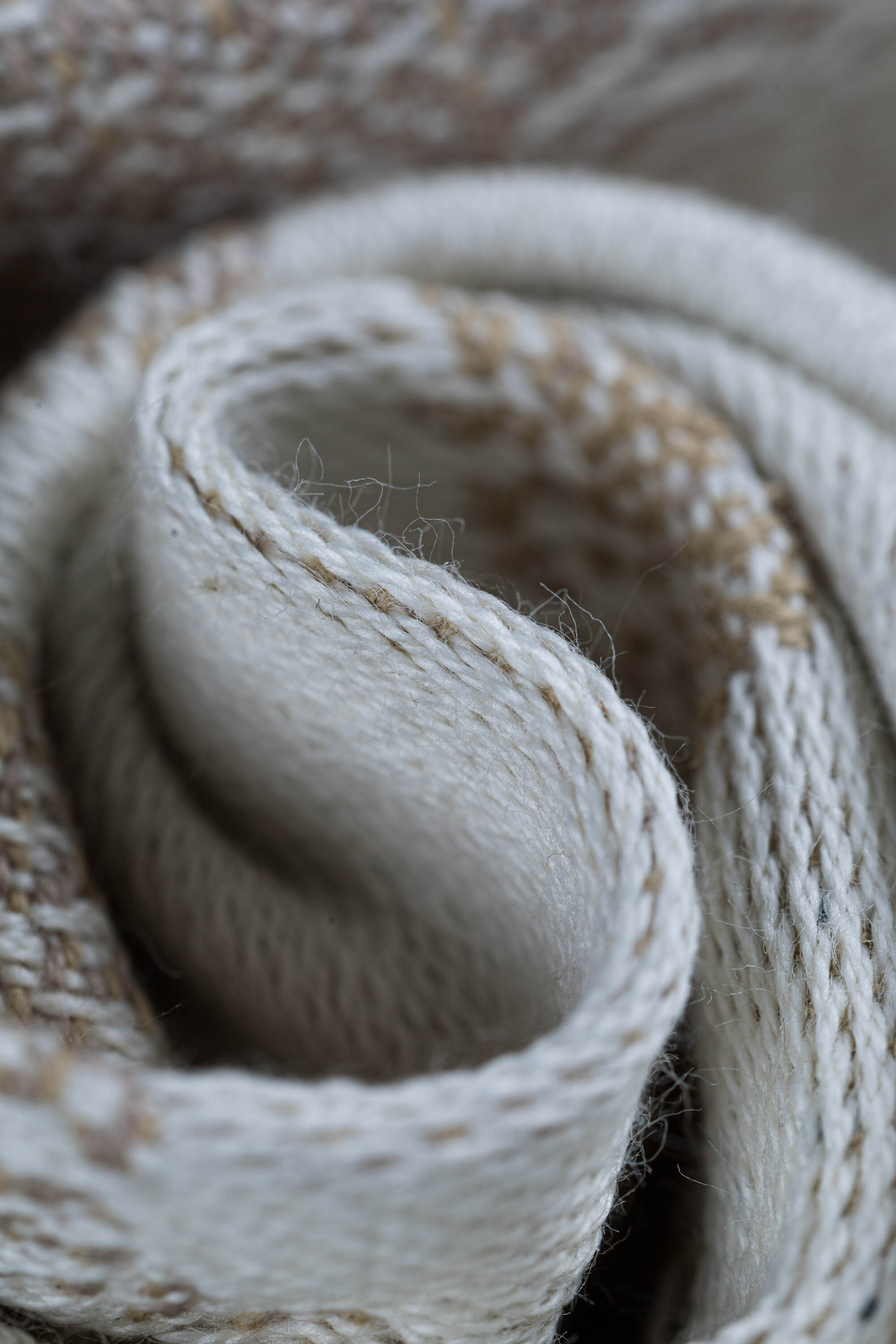 LennyUpGrade Pro kandekott JURASSIC PARK - ICE DESERT