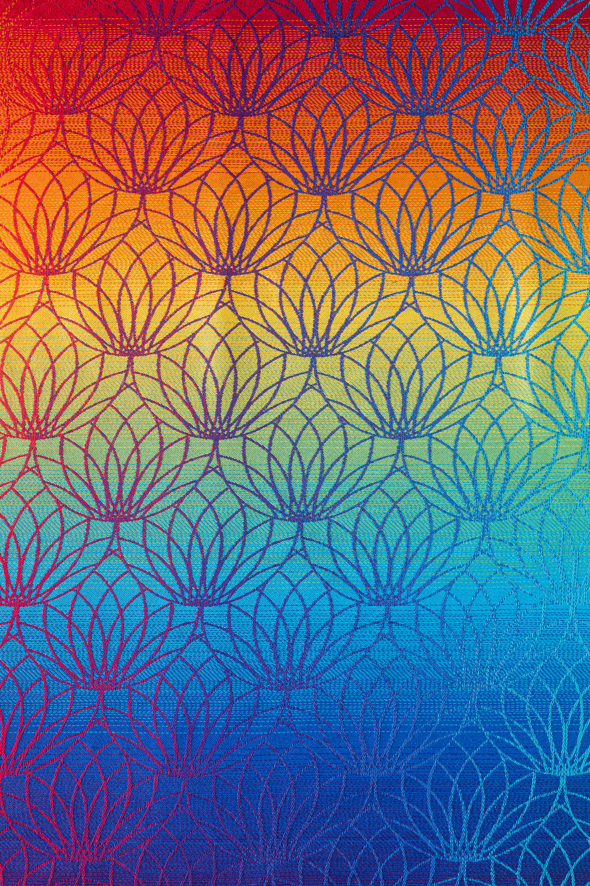 LennyLight Carrier - RAINBOW LOTUS