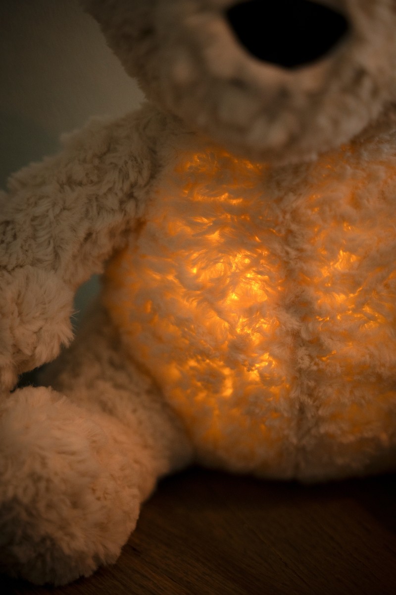 Bo the Teddy Bear with sleep trainer