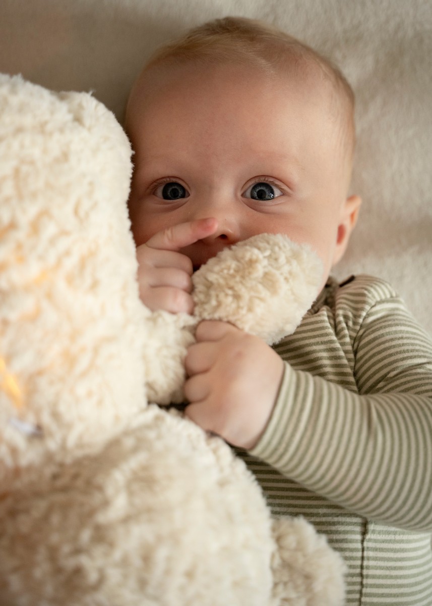 Bo the Teddy Bear with sleep trainer