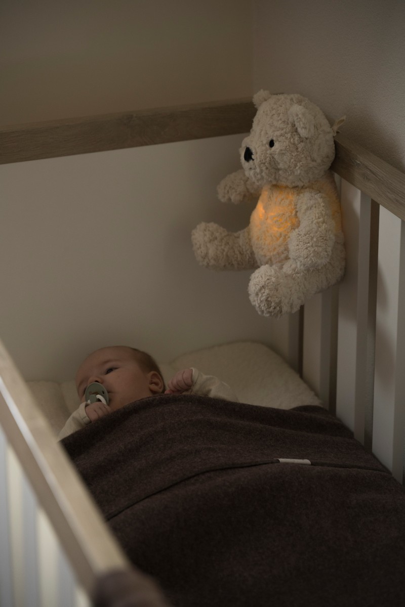 Bo the Teddy Bear with sleep trainer