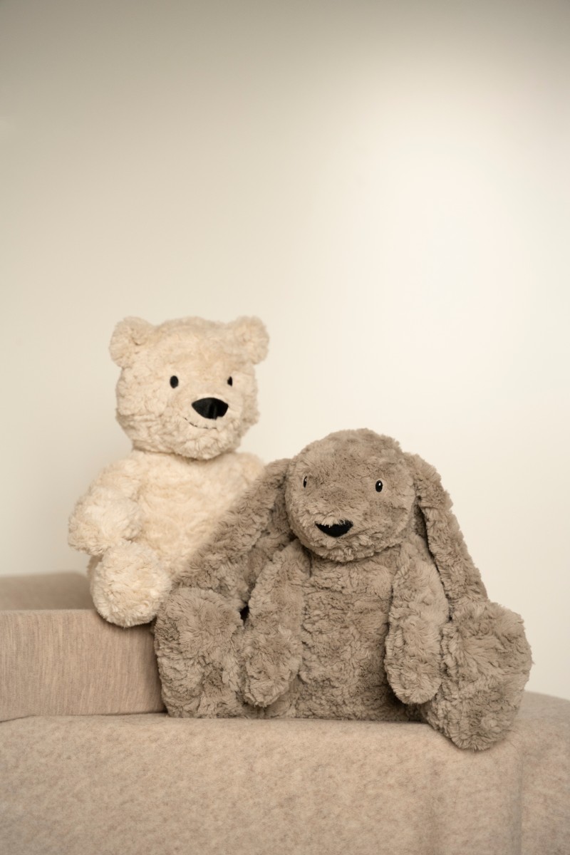 Bo the Teddy Bear with sleep trainer