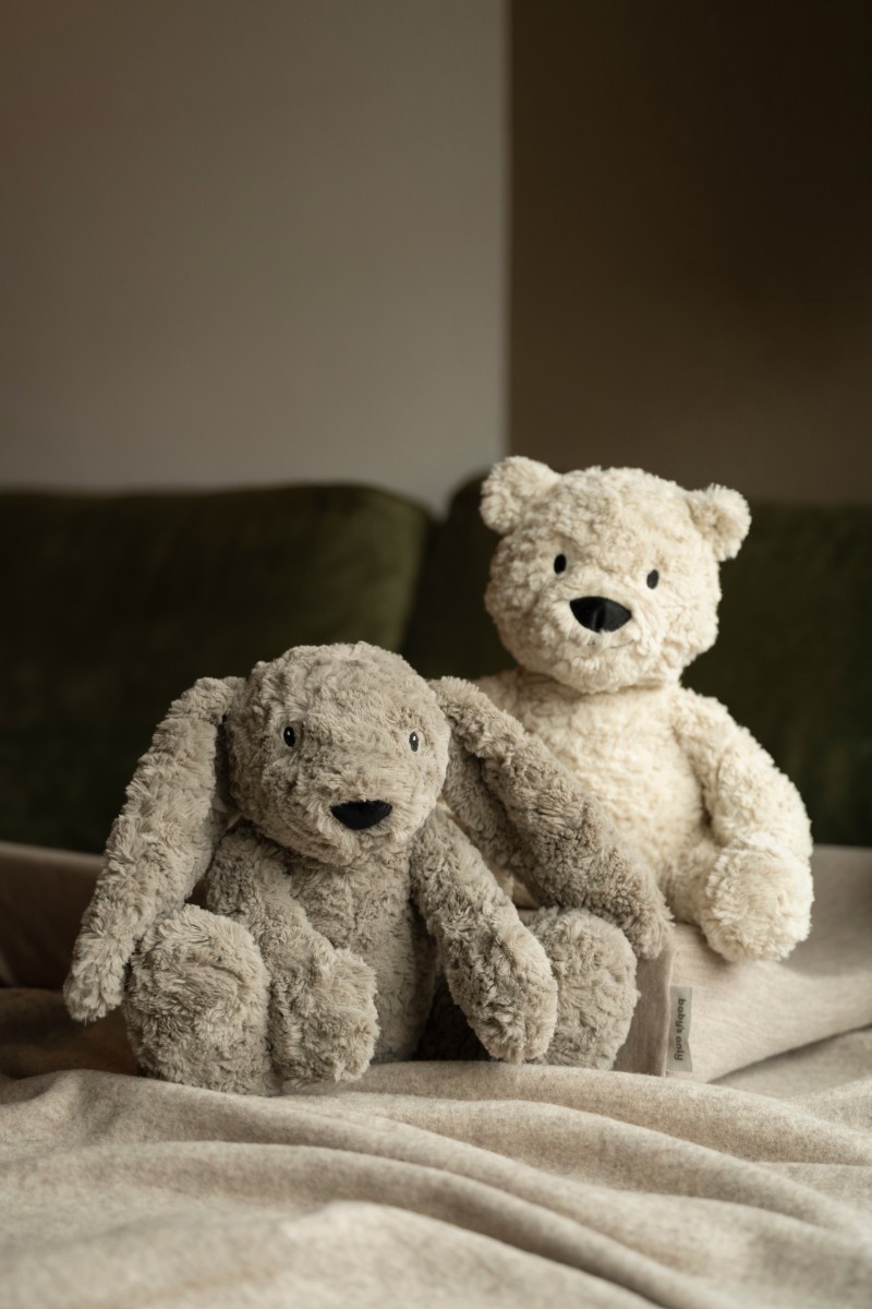 Bo the Teddy Bear with sleep trainer