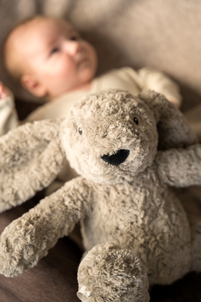 Bibi the Cuddle Bunny with sleep trainer