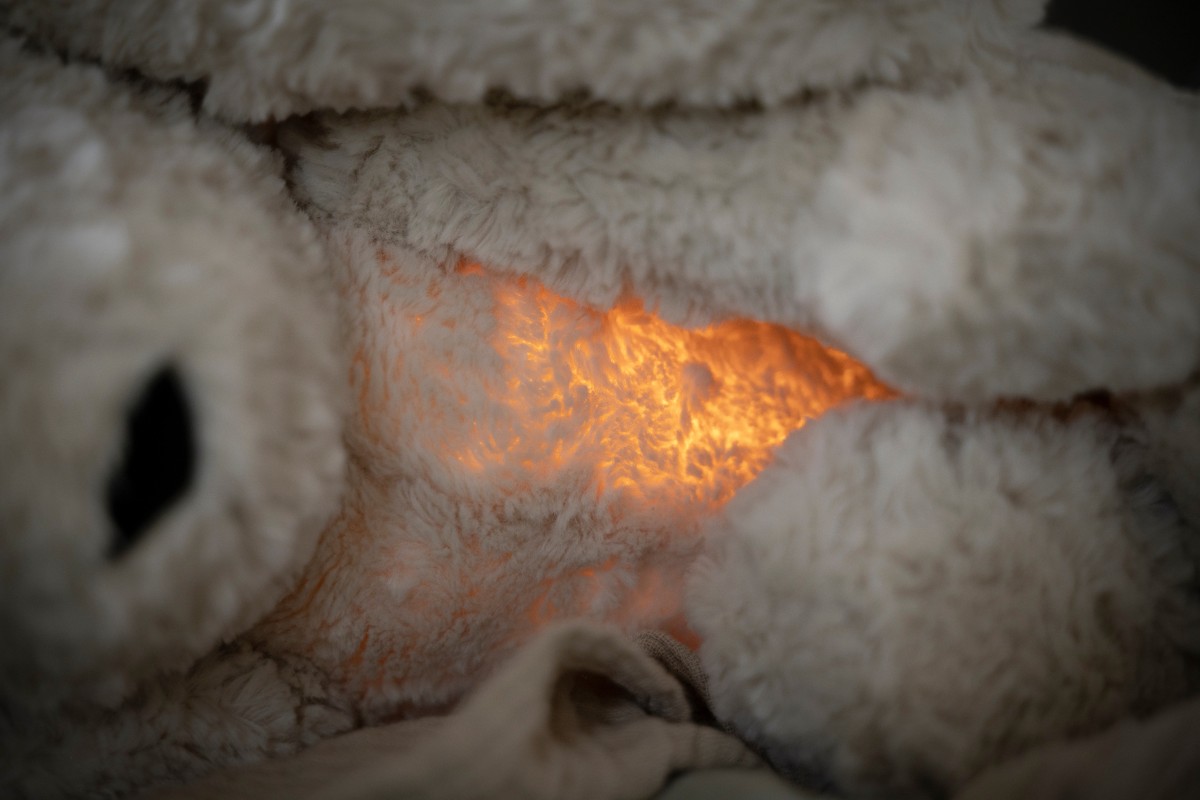 Bibi the Cuddle Bunny with sleep trainer