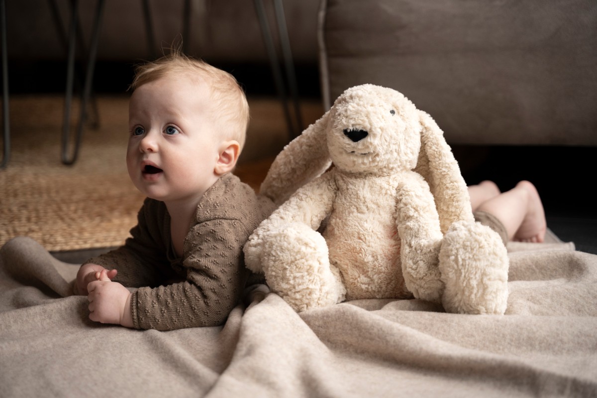 Bibi the Cuddle Bunny with sleep trainer