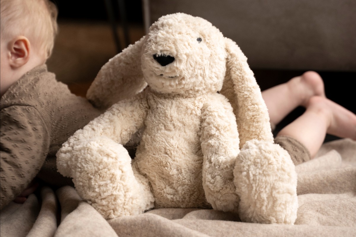 Bibi the Cuddle Bunny with sleep trainer