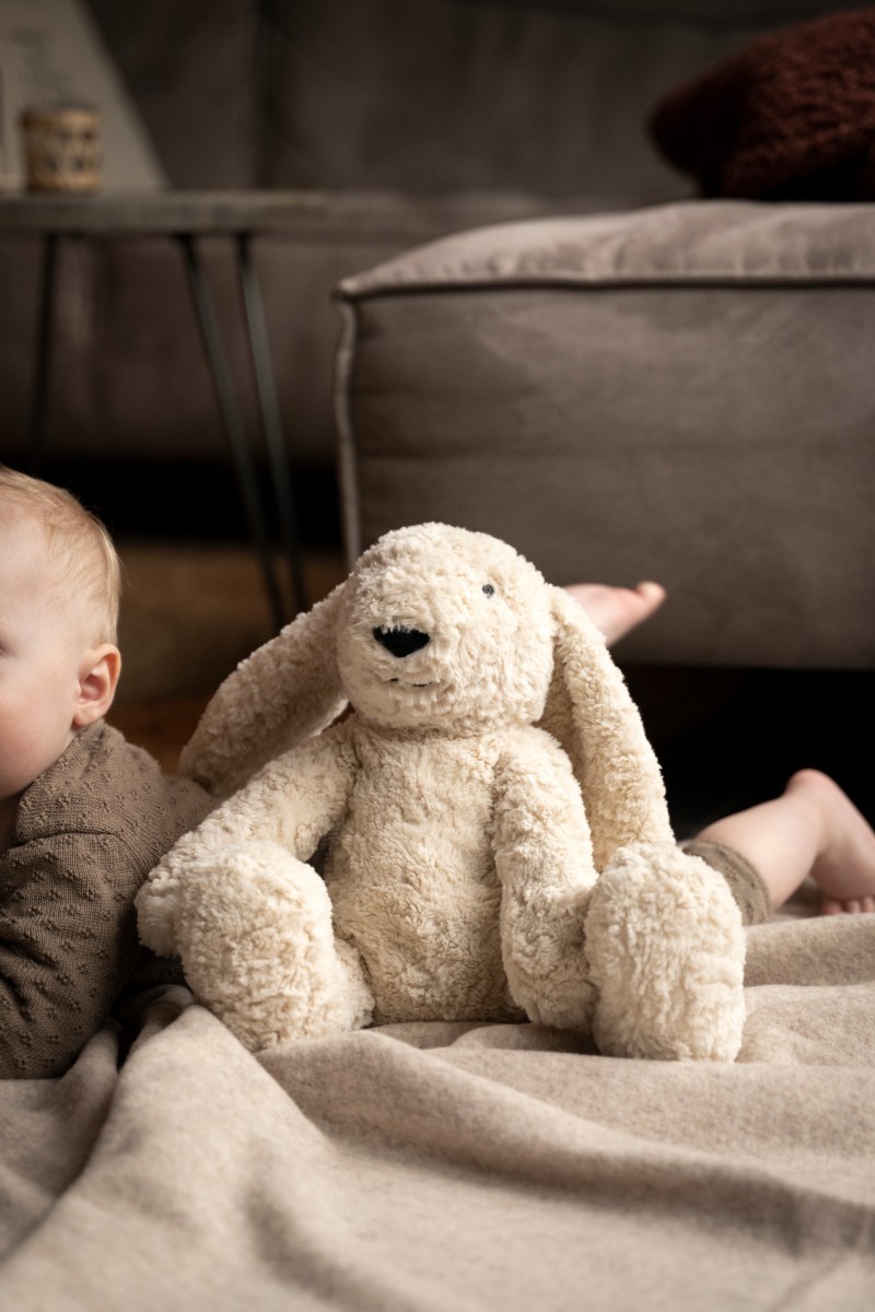 Bibi the Cuddle Bunny with sleep trainer